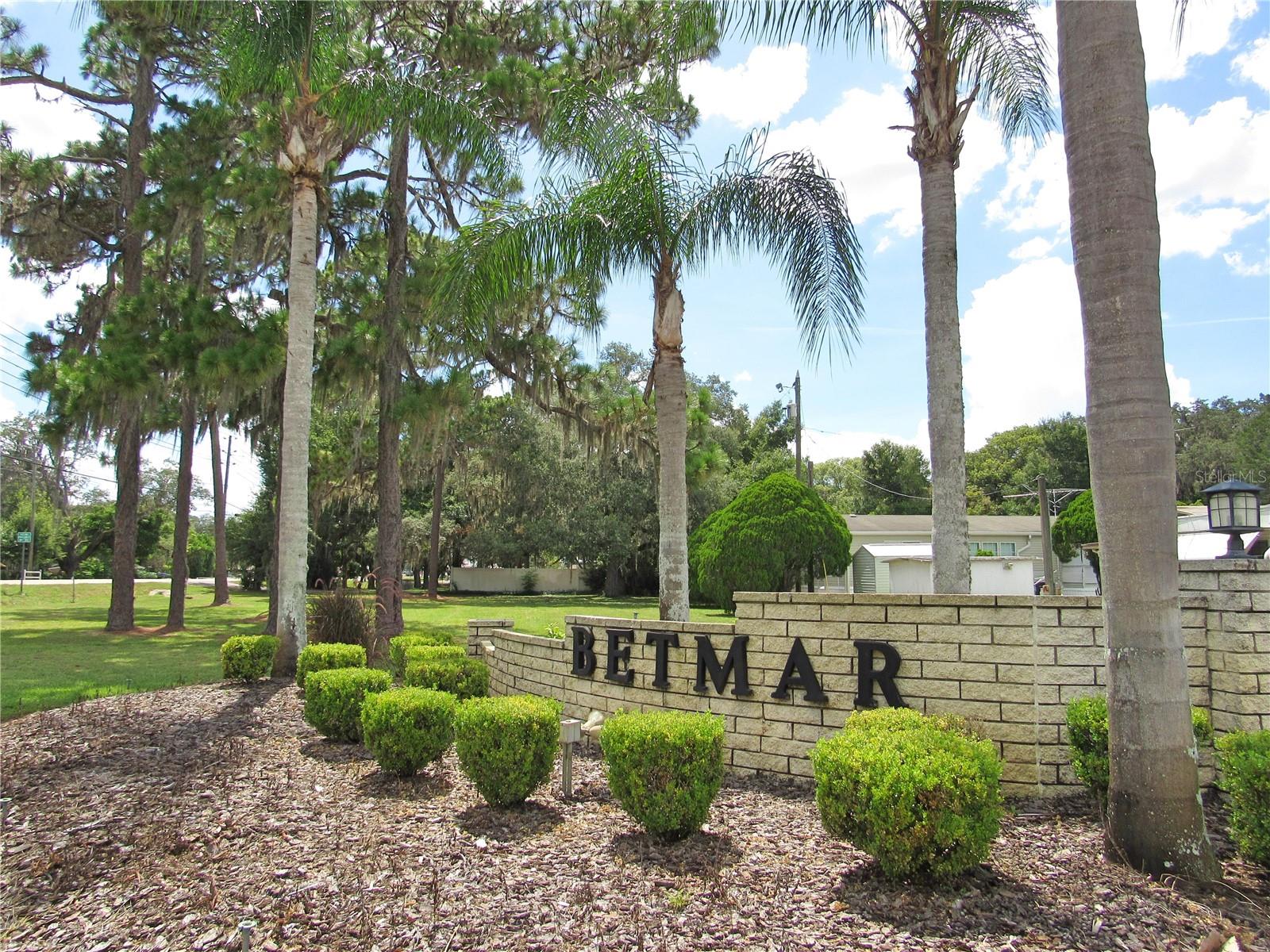 Welcome to Betmar Acres!!