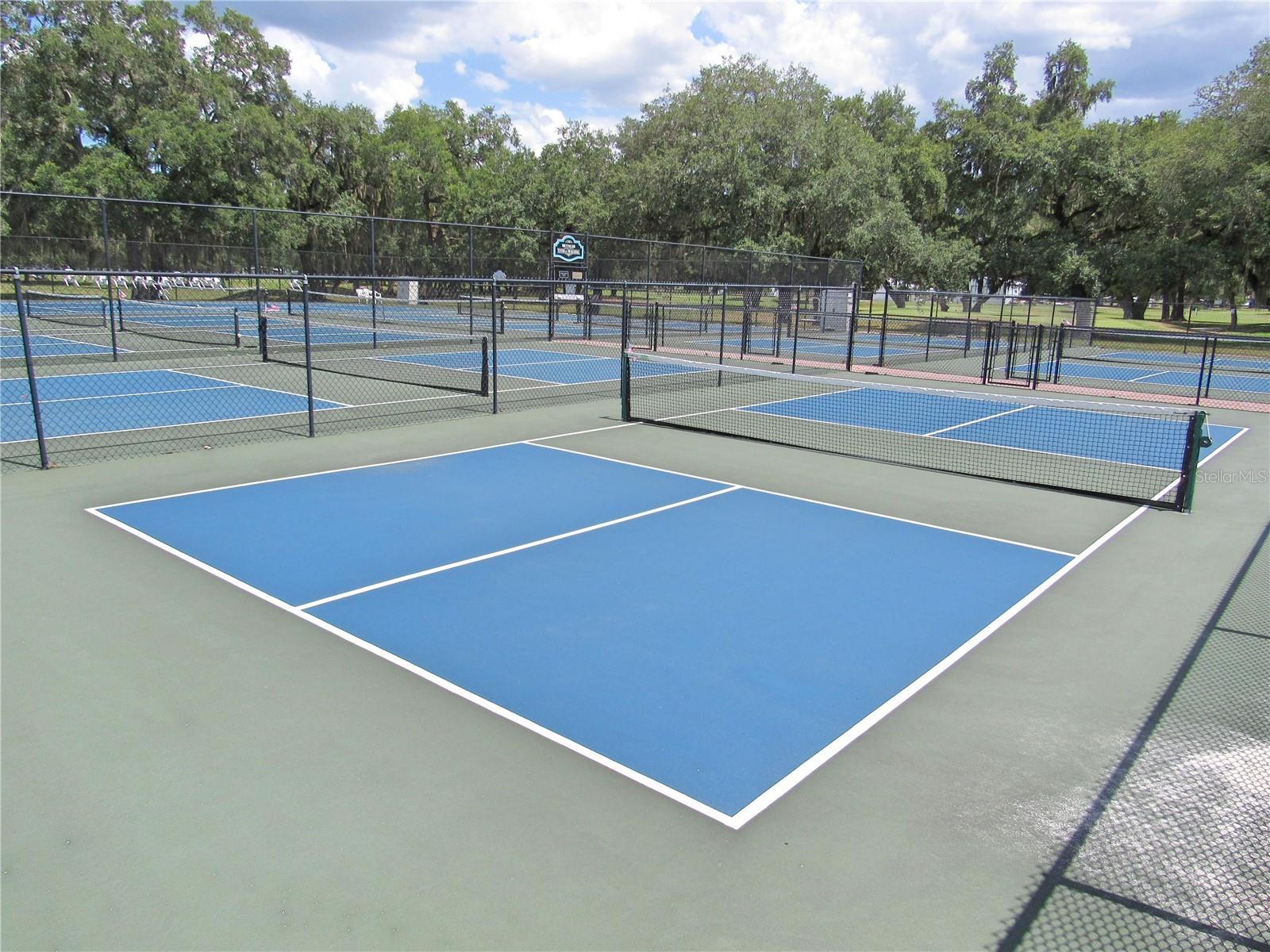 Pickleball anyone?  Nine courts in Betmar!!