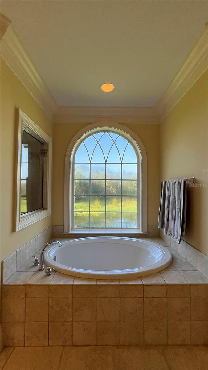 Master Bathroom tub