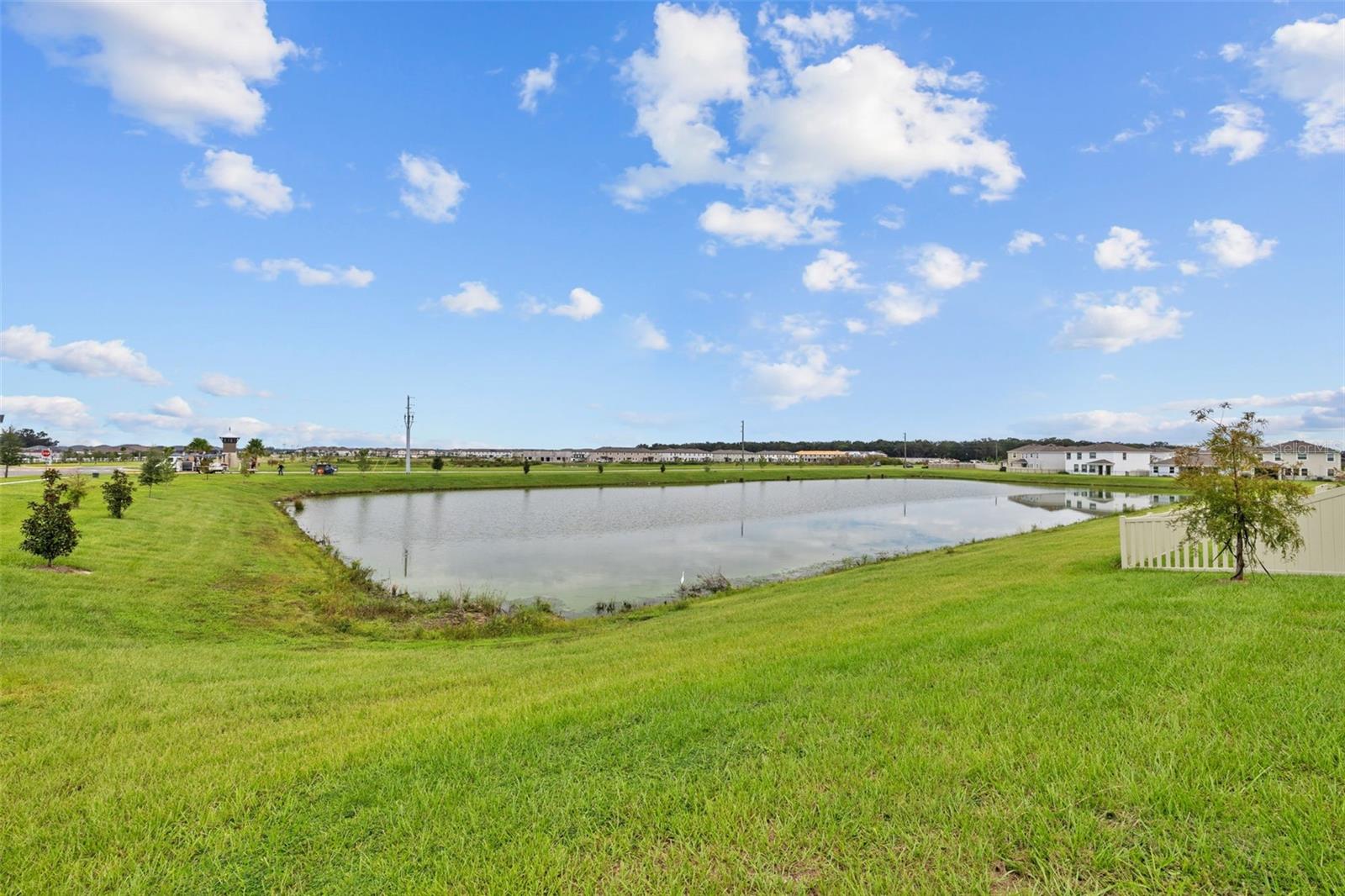 Pond View