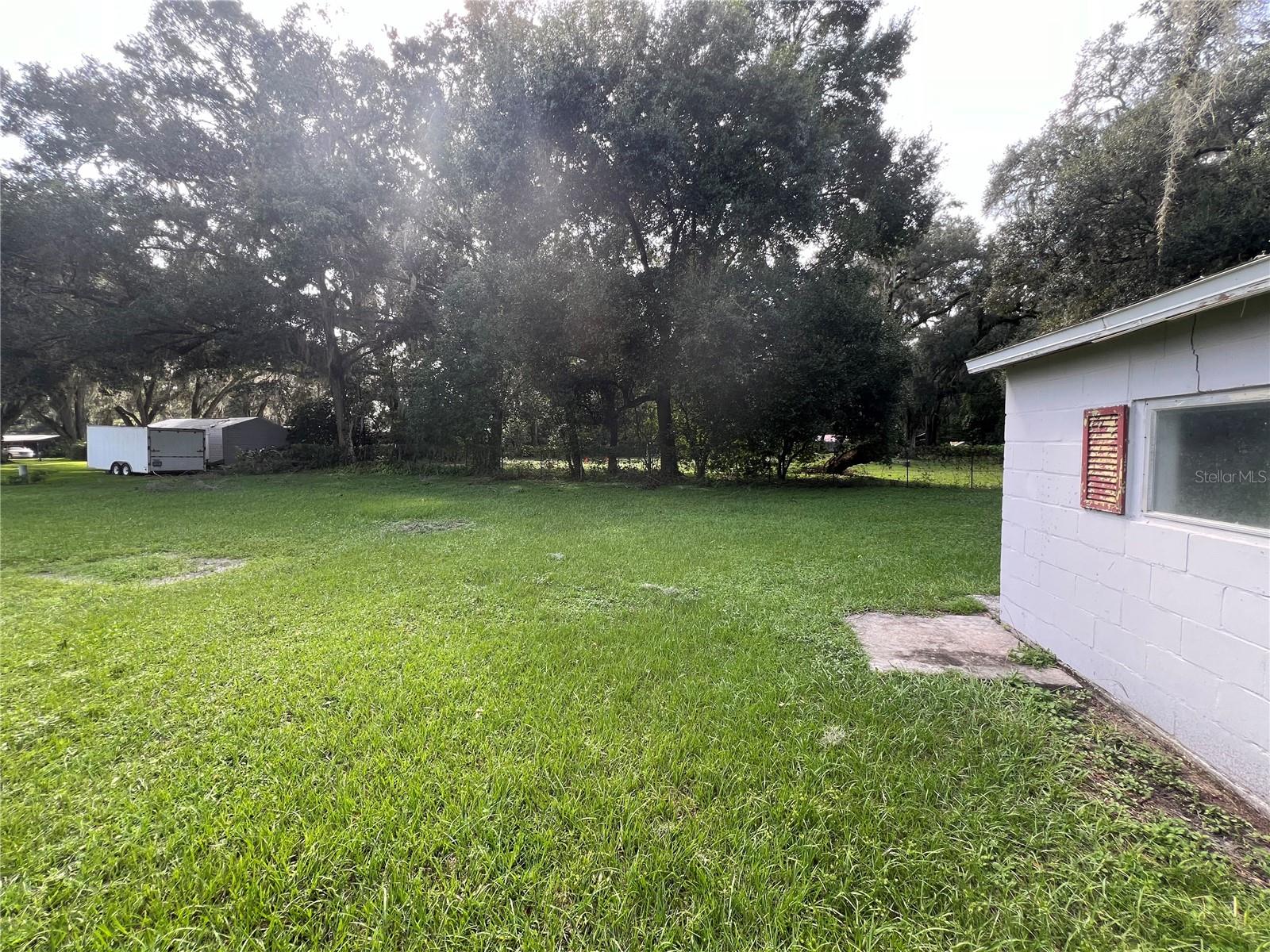 Expansive back yard - 4043 Burrows RD, Zephyrhills, FL