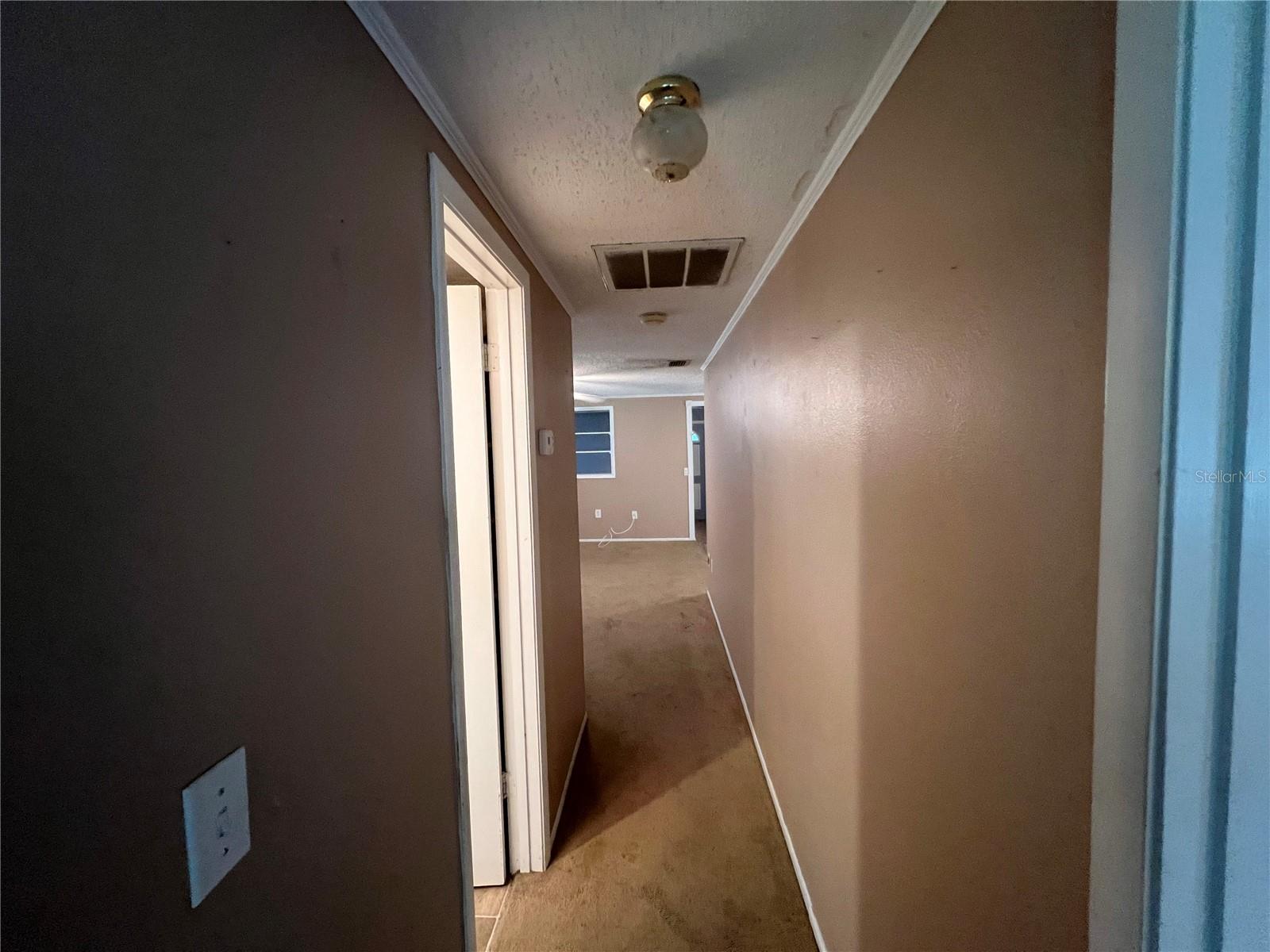 Hallway toward Living Room - 4043 Burrows RD, Zephyrhills, FL