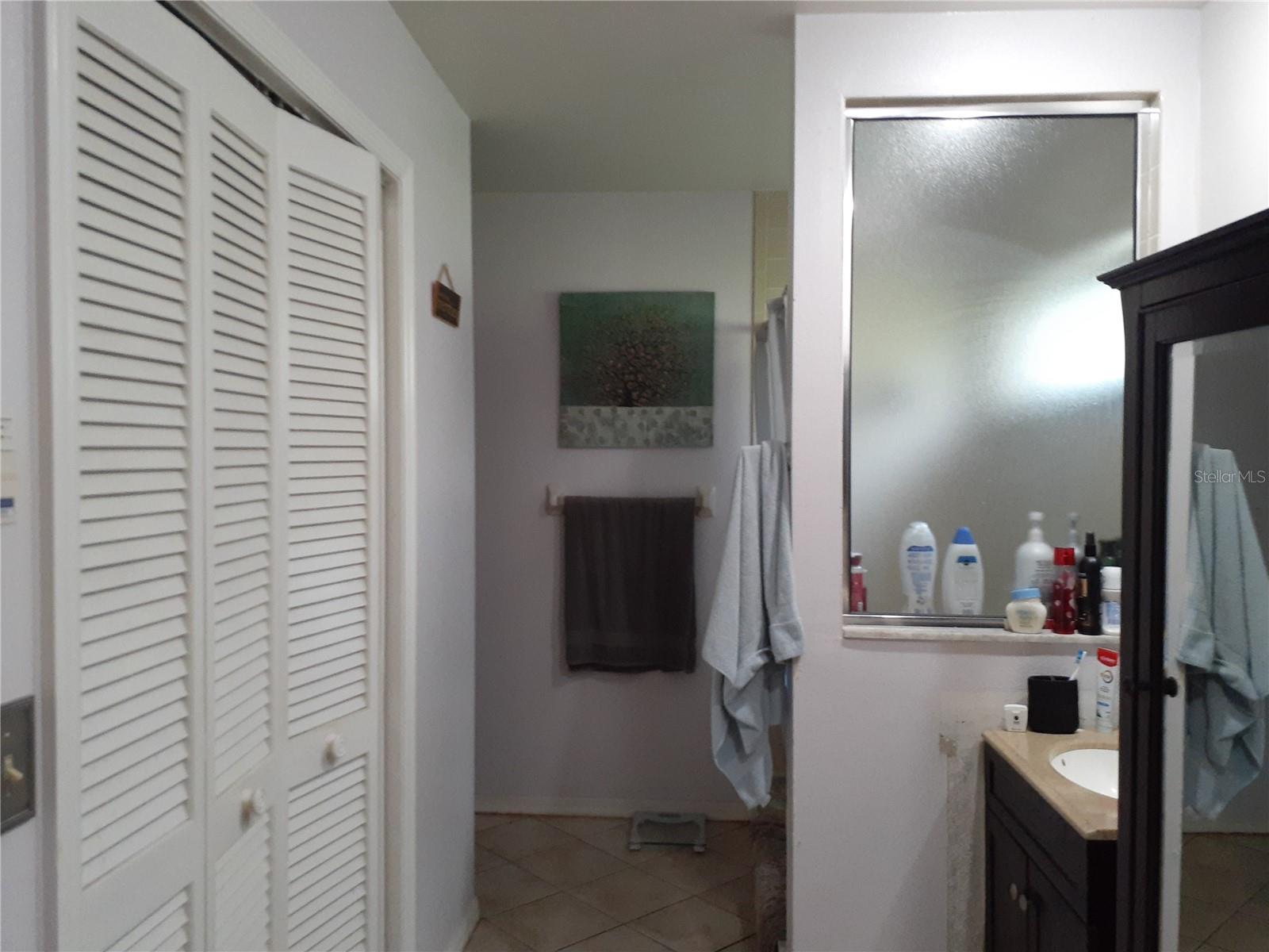 Main Bath with double closet