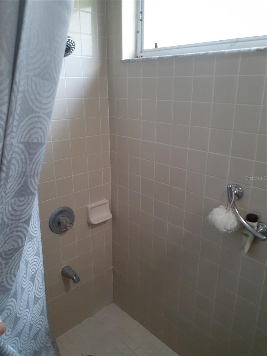 Main Bath shower