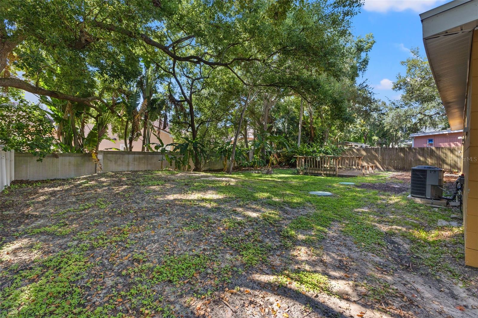 Backyard view from gate.