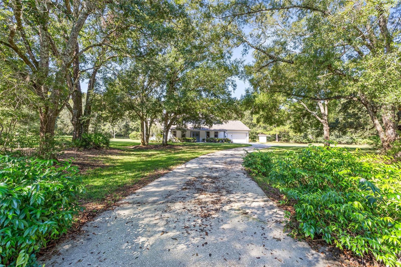 Beautiful home on three wooded acres