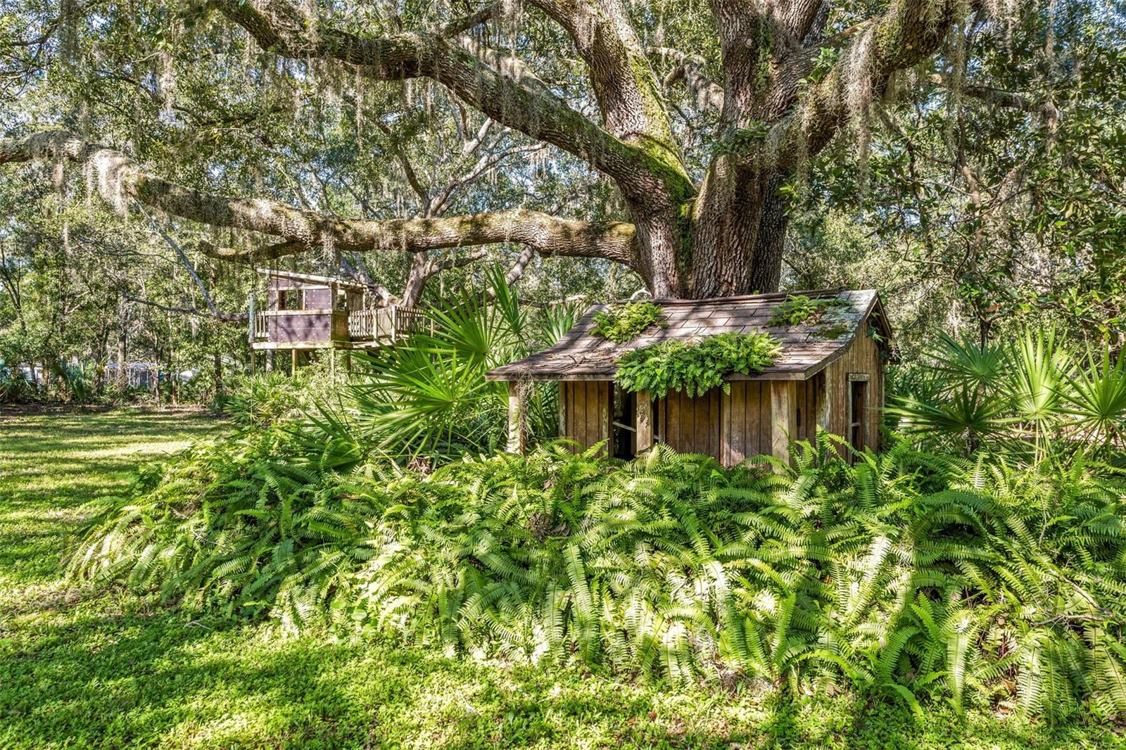 rustic back acreage