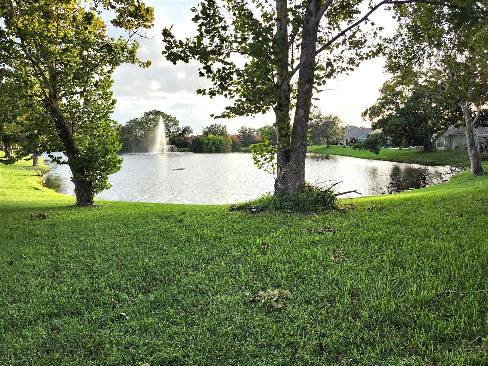 Pond View