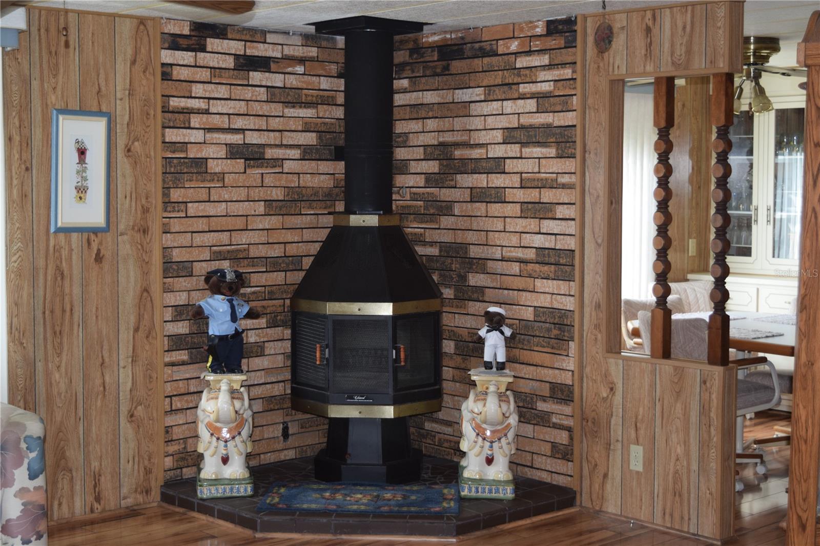 Fireplace in Living room