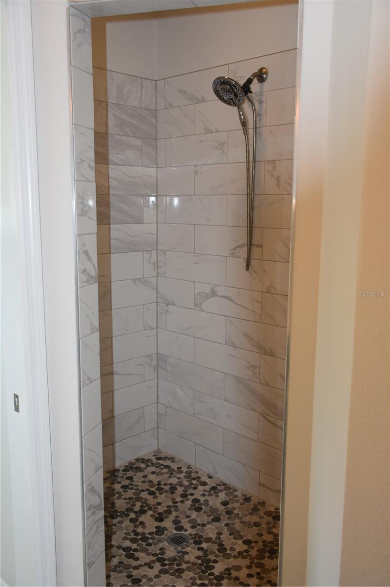 Master bath shower