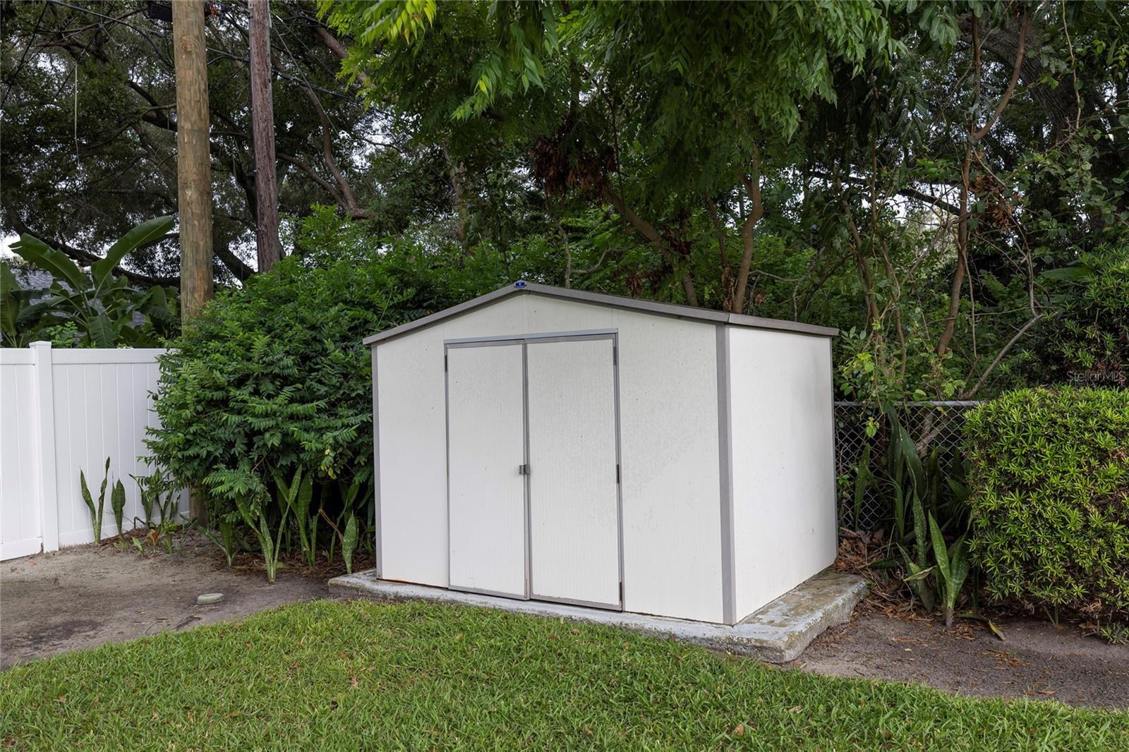 Shed in Back Yard