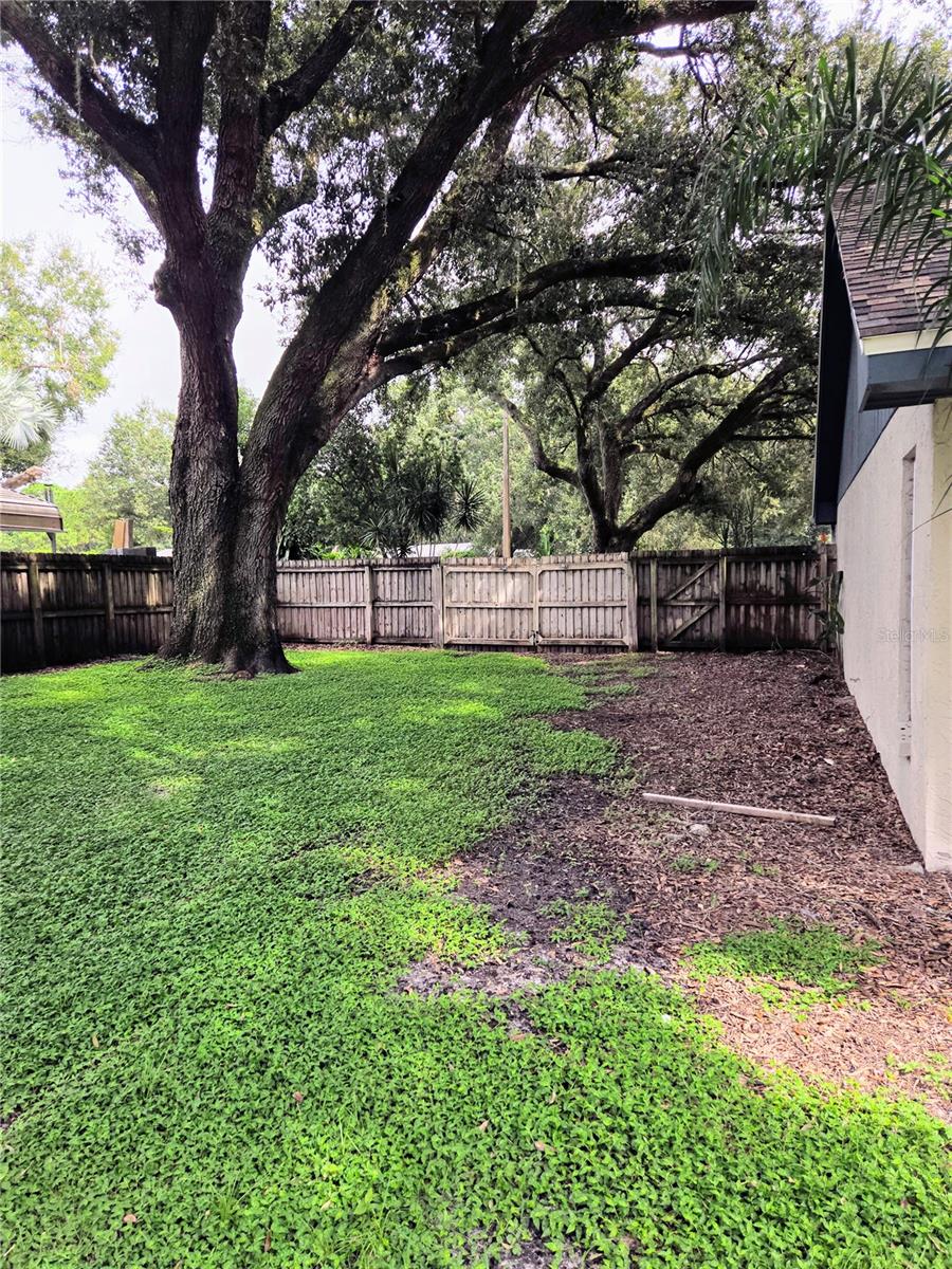 Side yard to right of entry. Both sides of property have double entry gates