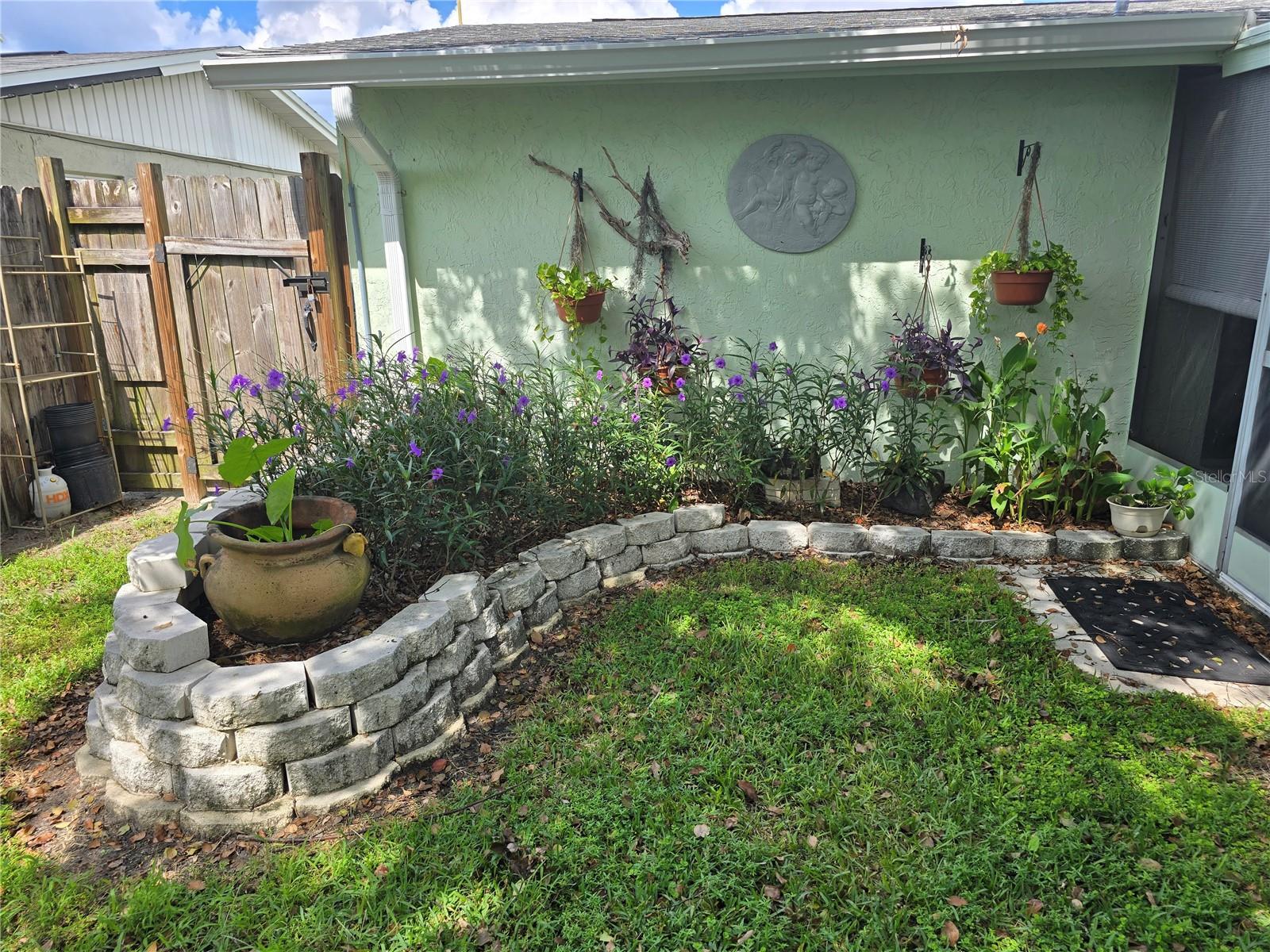 Backyard with mature plants