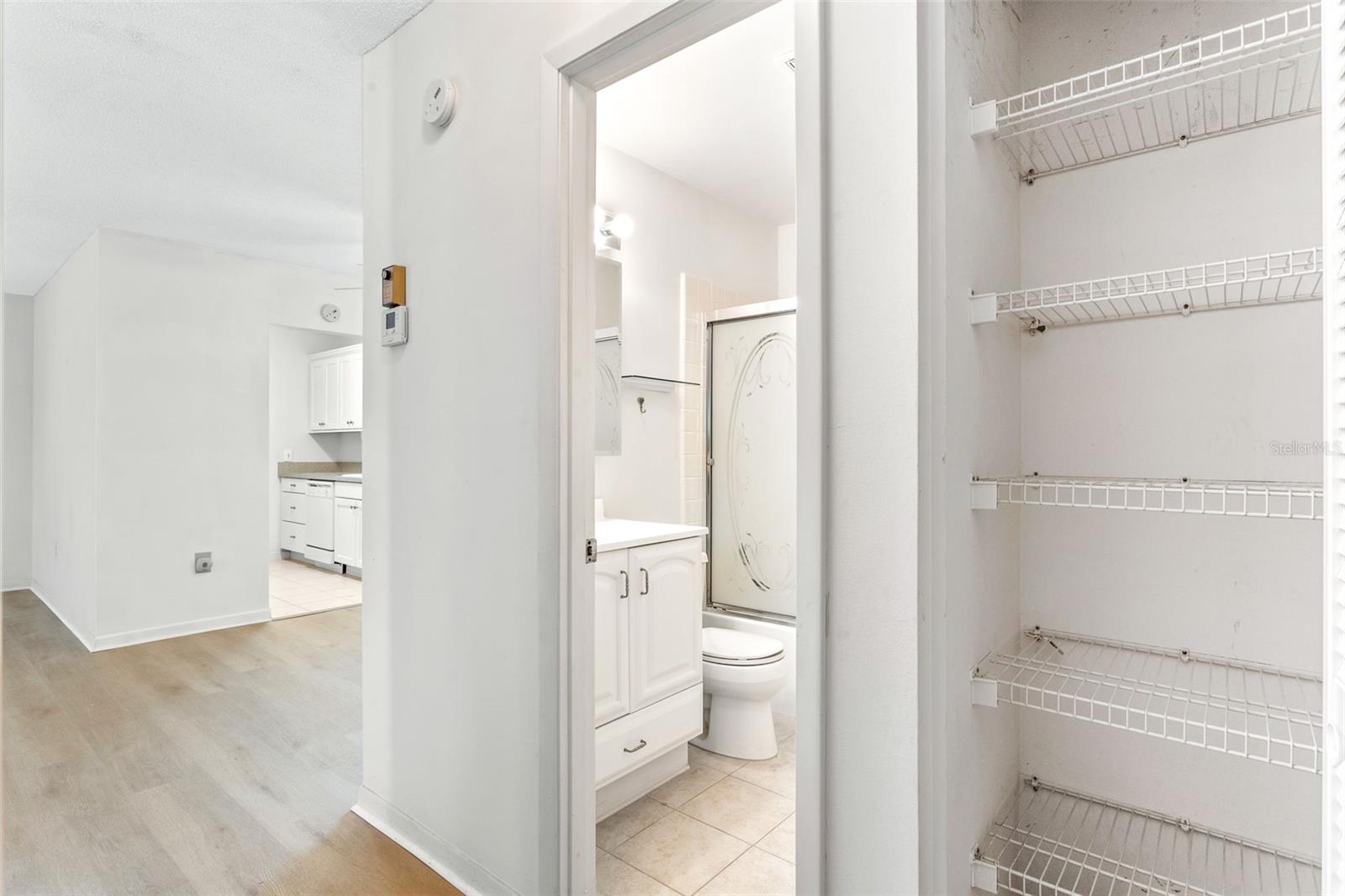 Guest Bathroom and Linen Closet