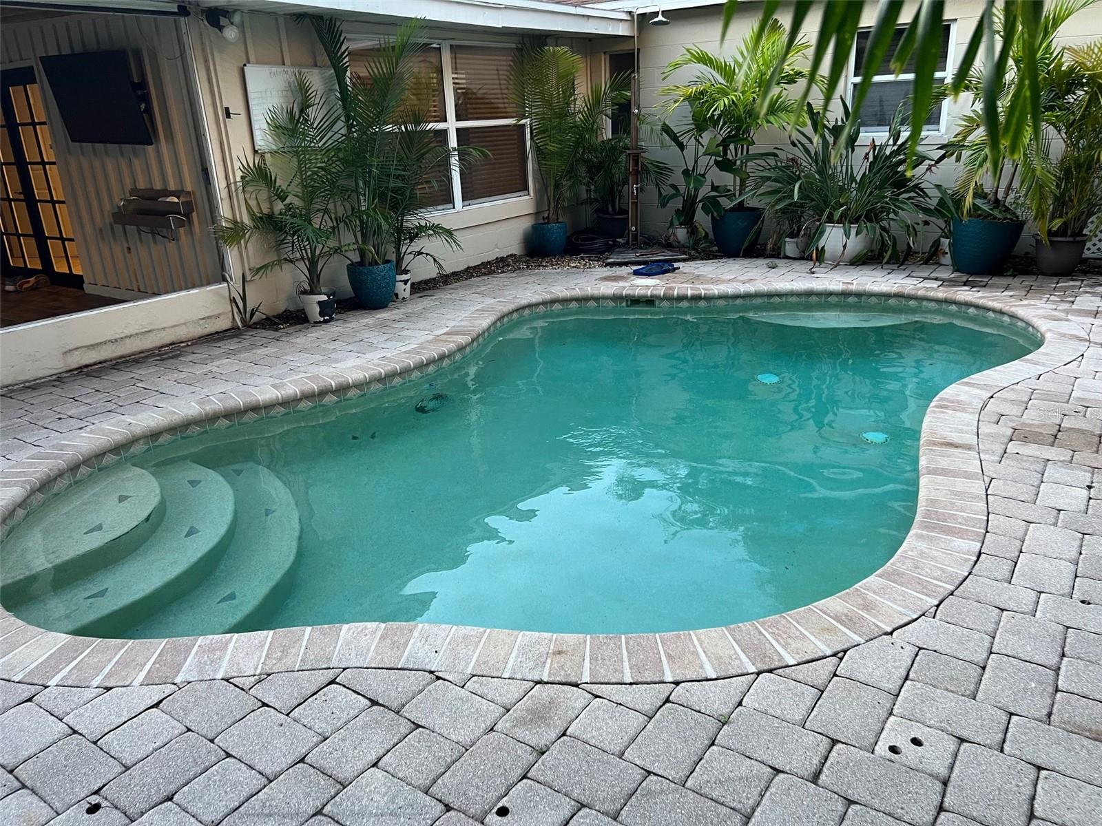 Pool and Patio