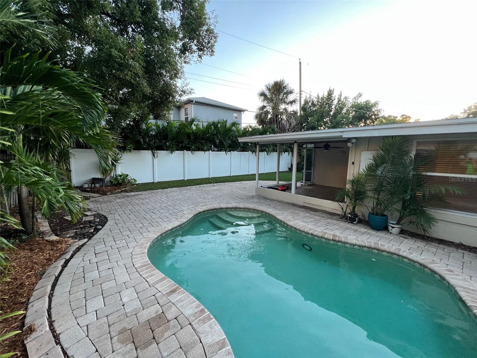 Pool and Patio