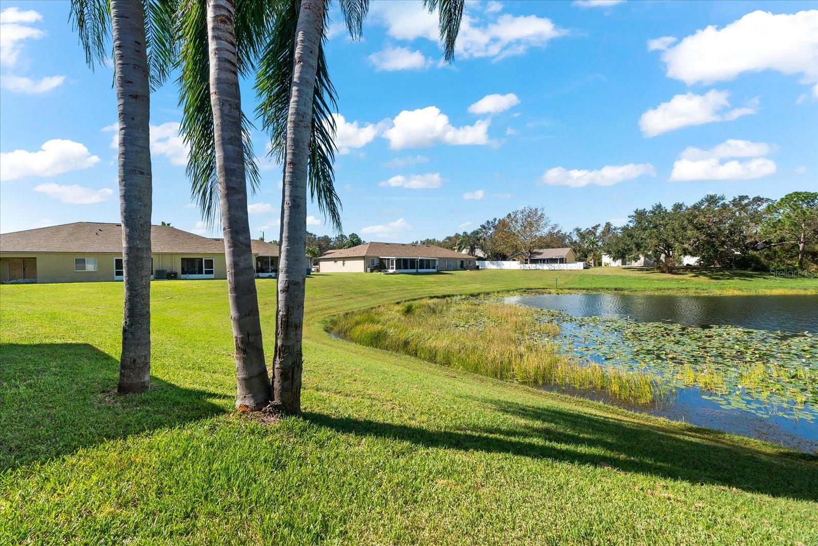 pond view