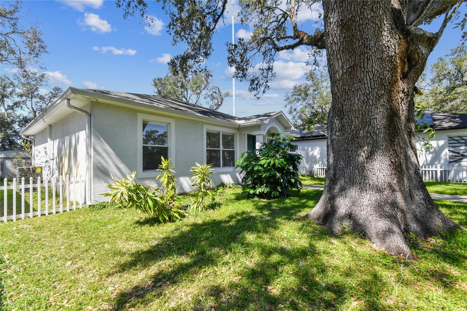 Left side of house view