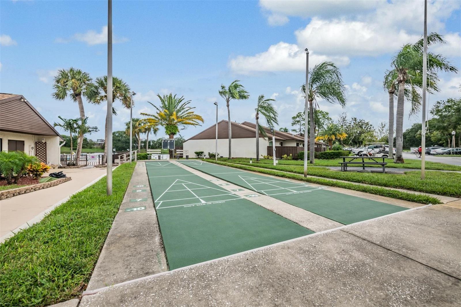 Community Shuffleboard court