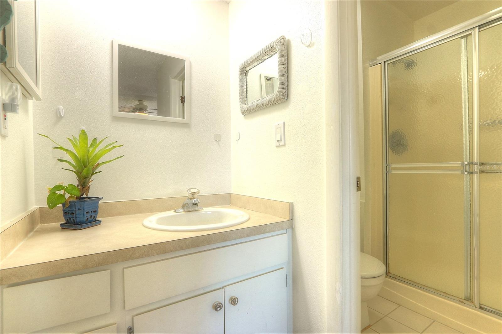 Vanity area is separate from shower area.