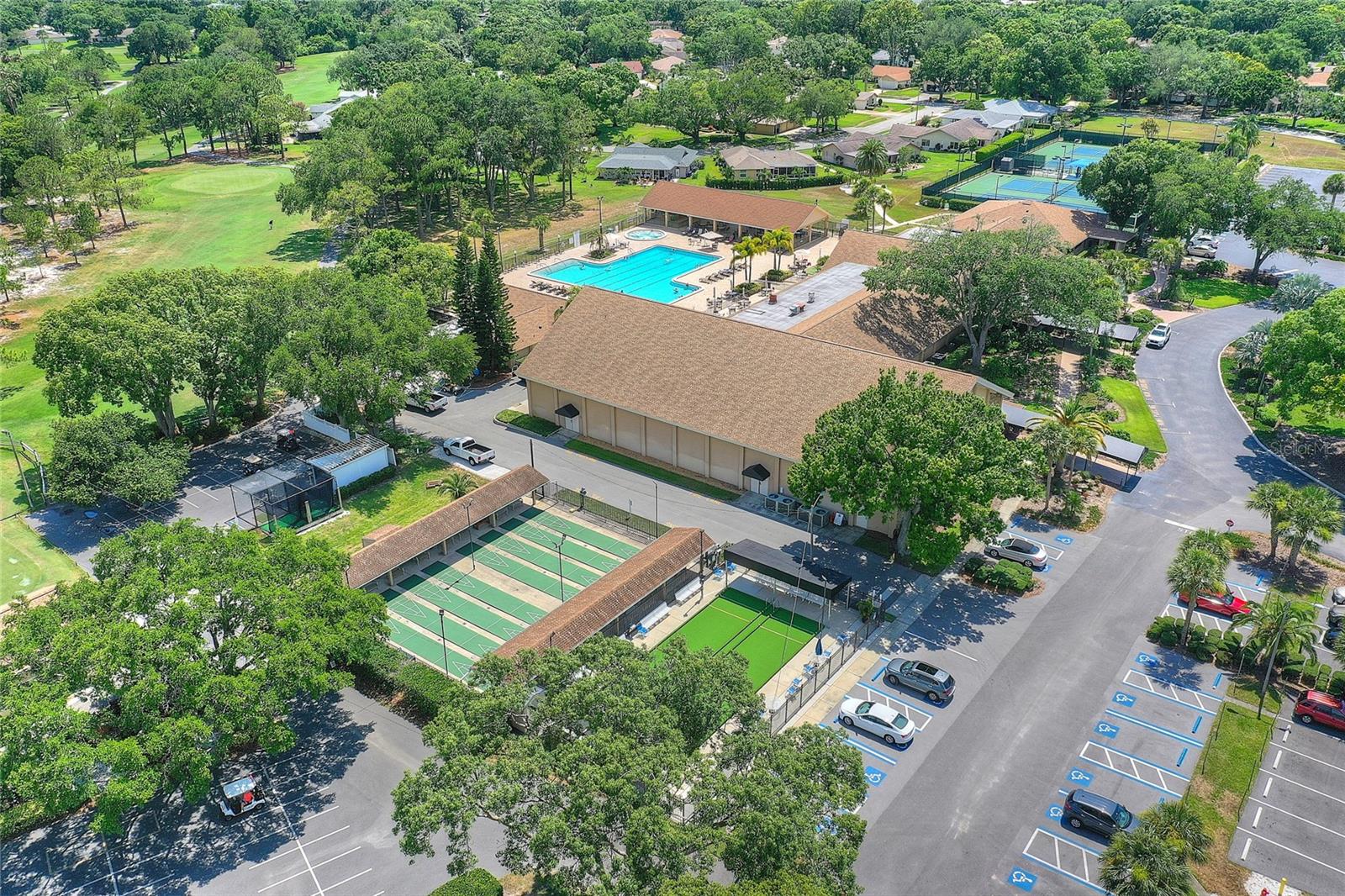 Pickleball or Tennis?