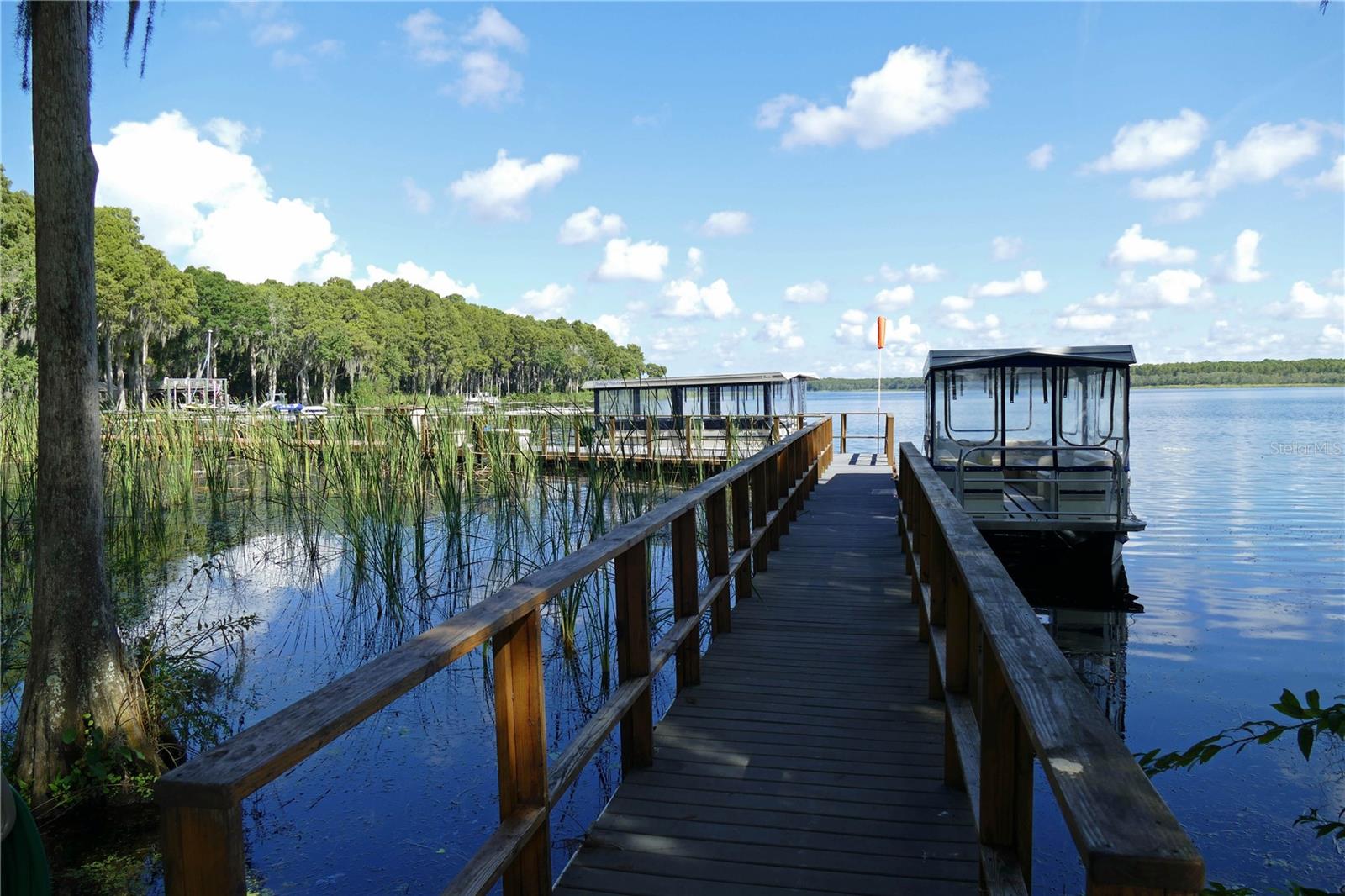 Lake Tarpon and our two pontoon boats!