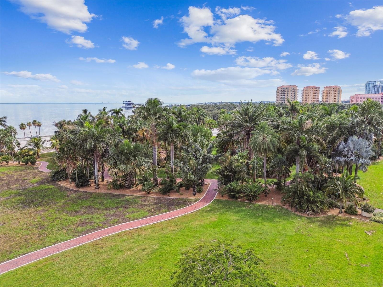 Elva Rouse park across the street with walking paths and beautiful palm trees