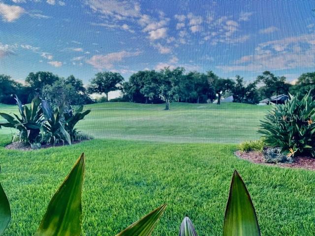 GOLF COURSE VIEW FROM LANAI