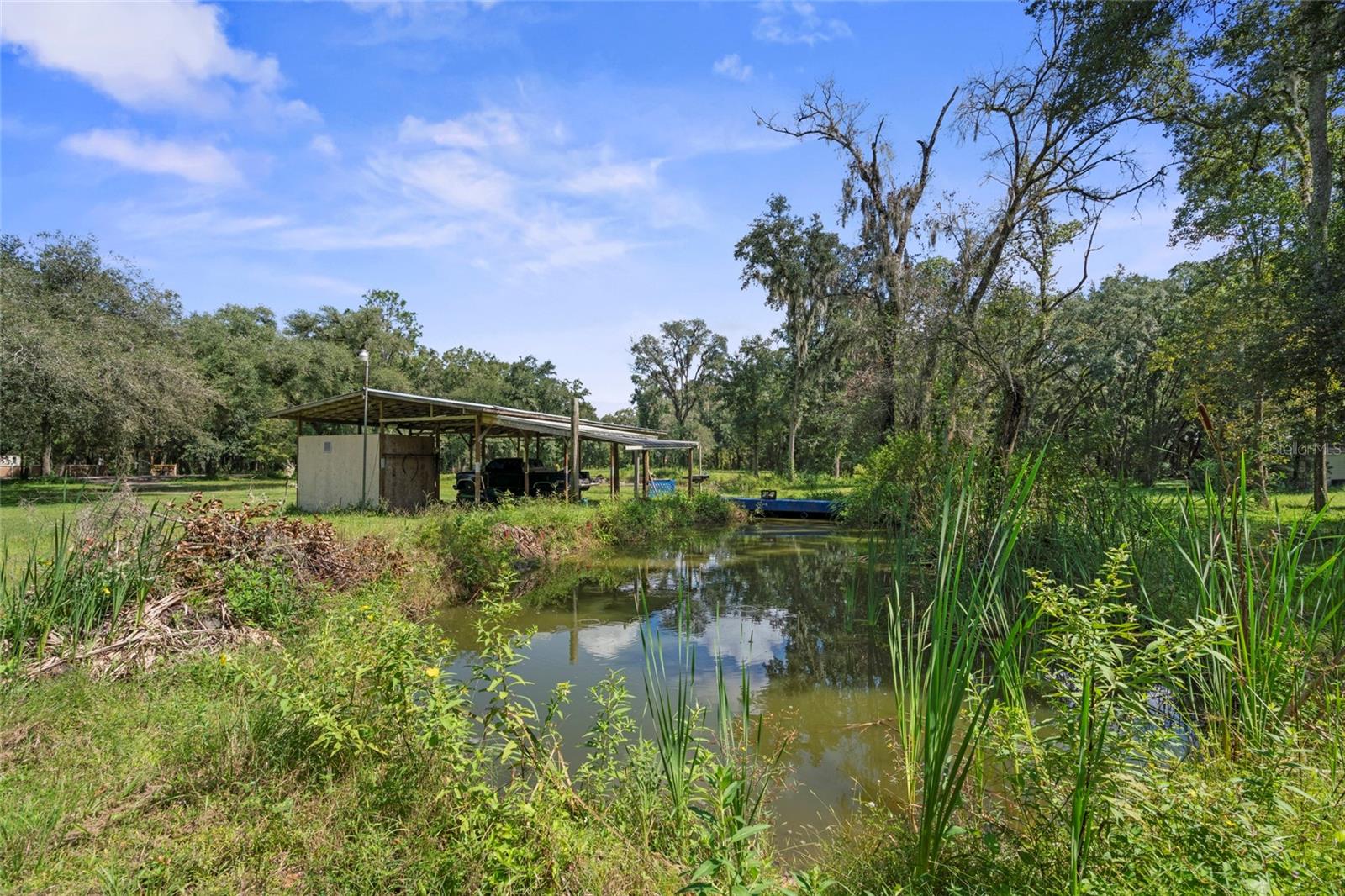 Pond on property