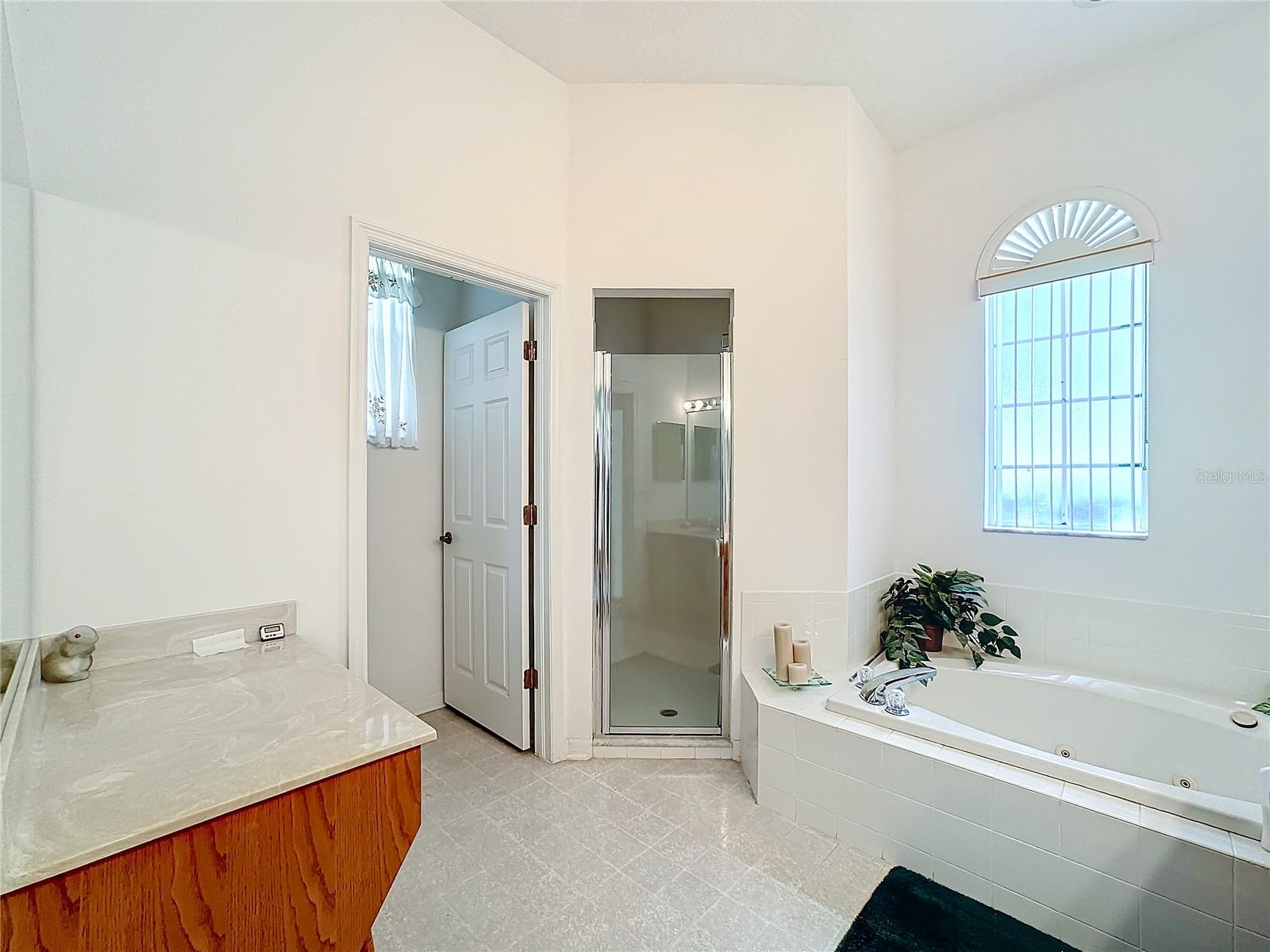 Soaking Tub , seperate shower and makeup vanity