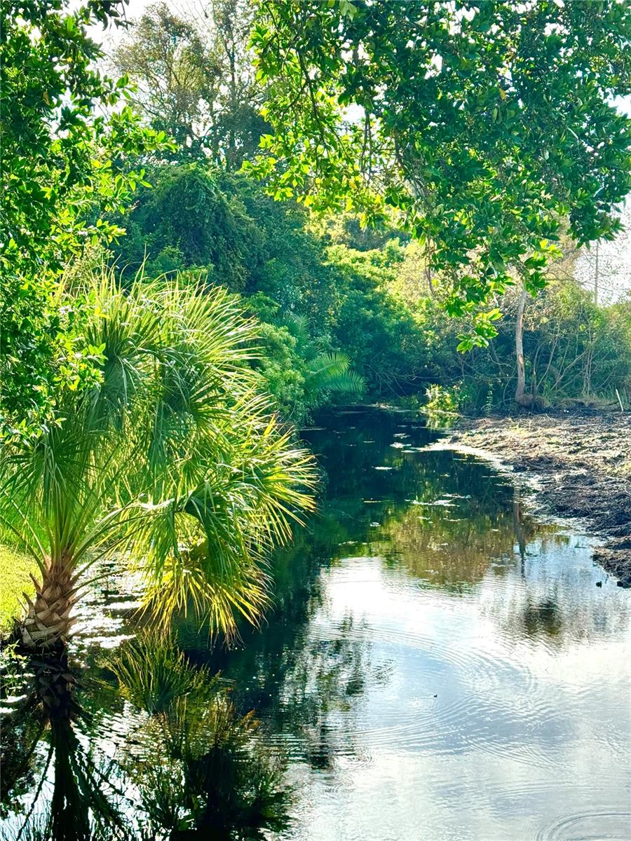 Creek view