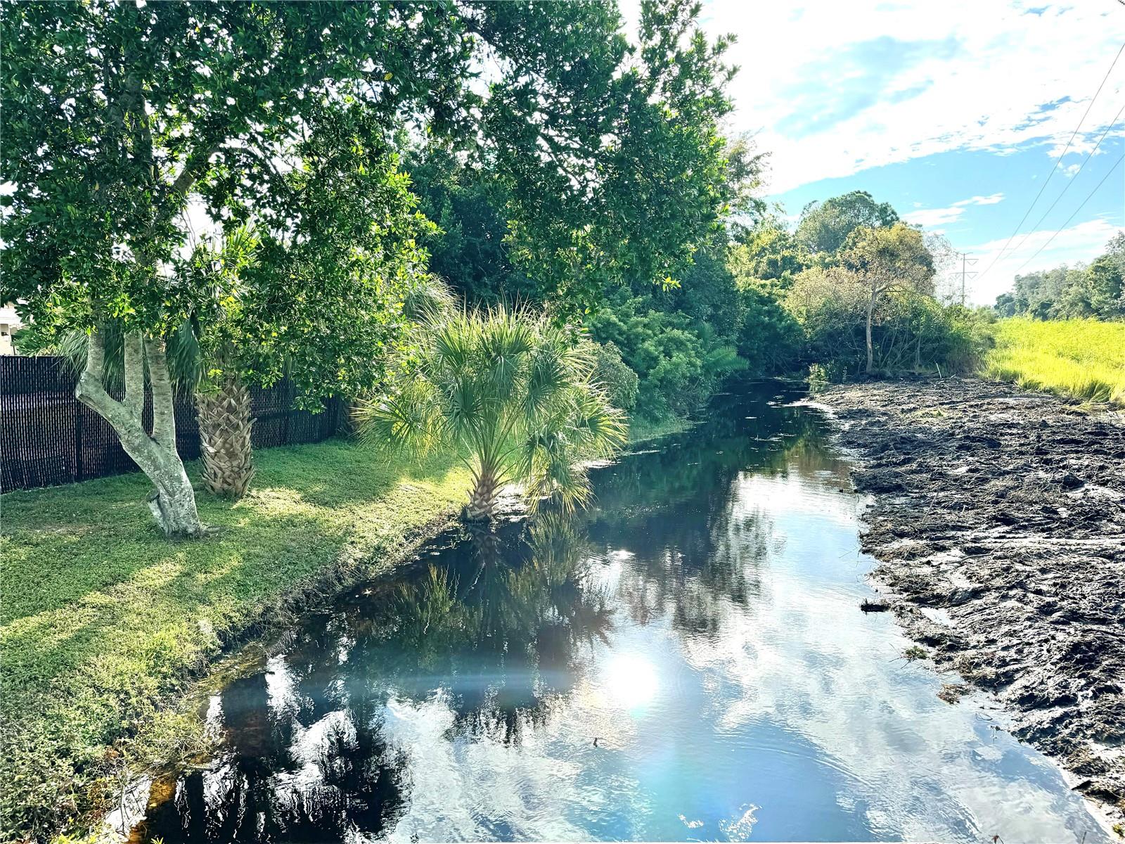 Creek view