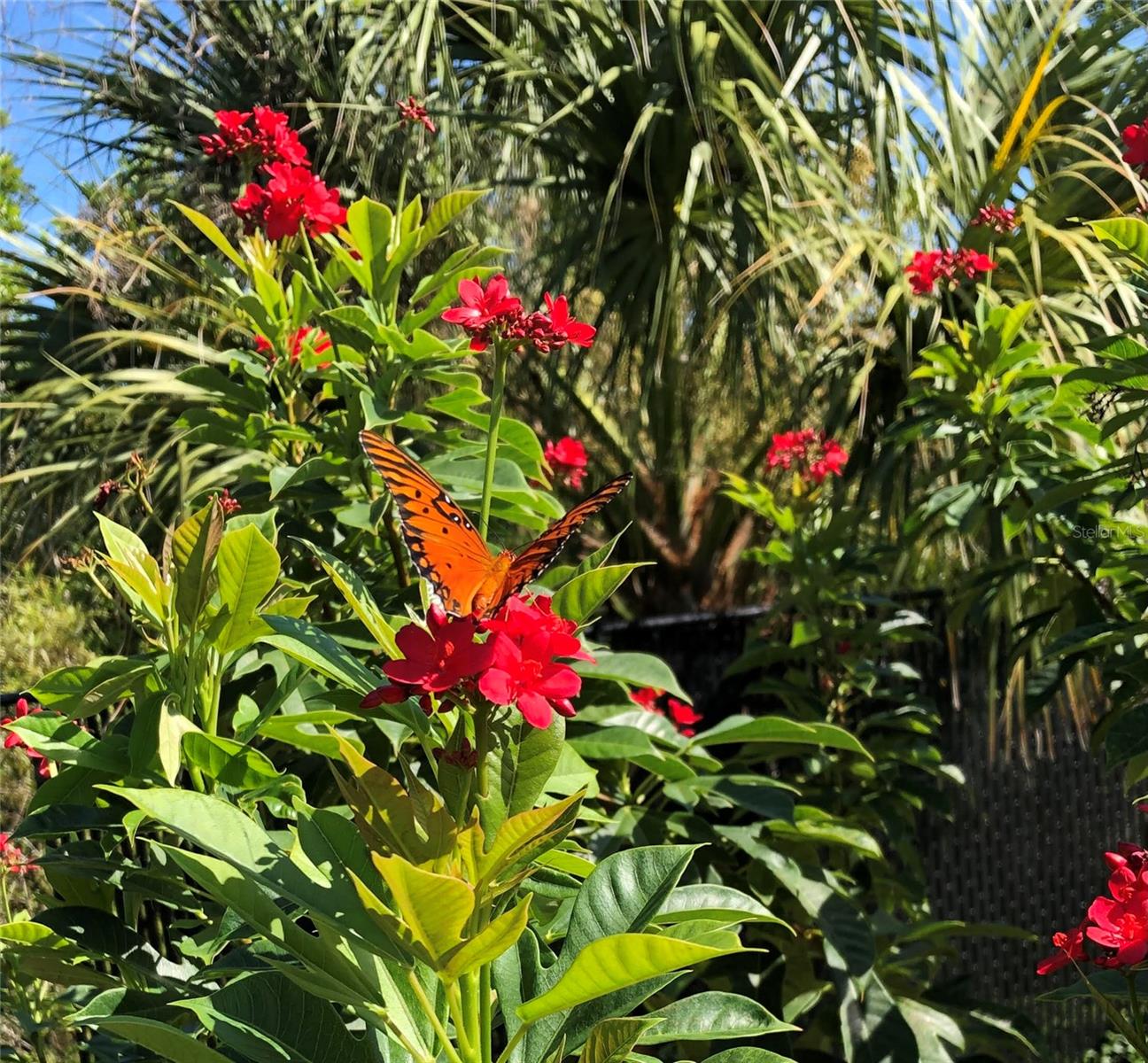 The back yard is a bonus for any gardener