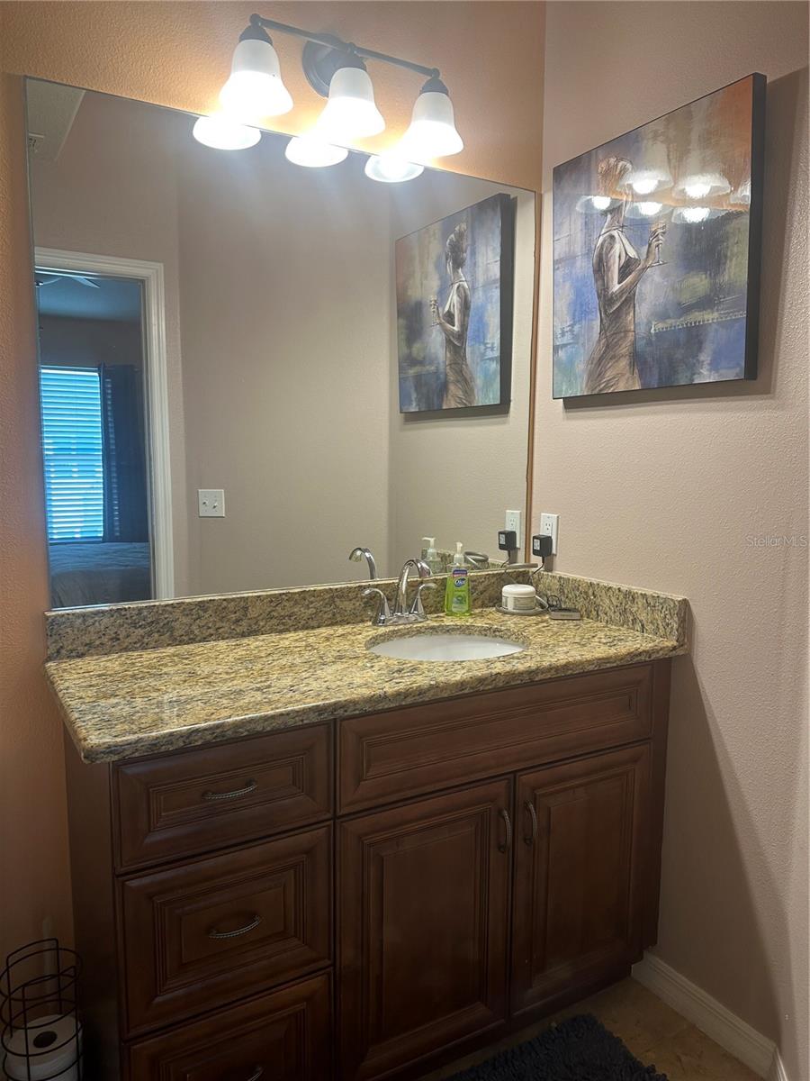 Master Bathroom Sink