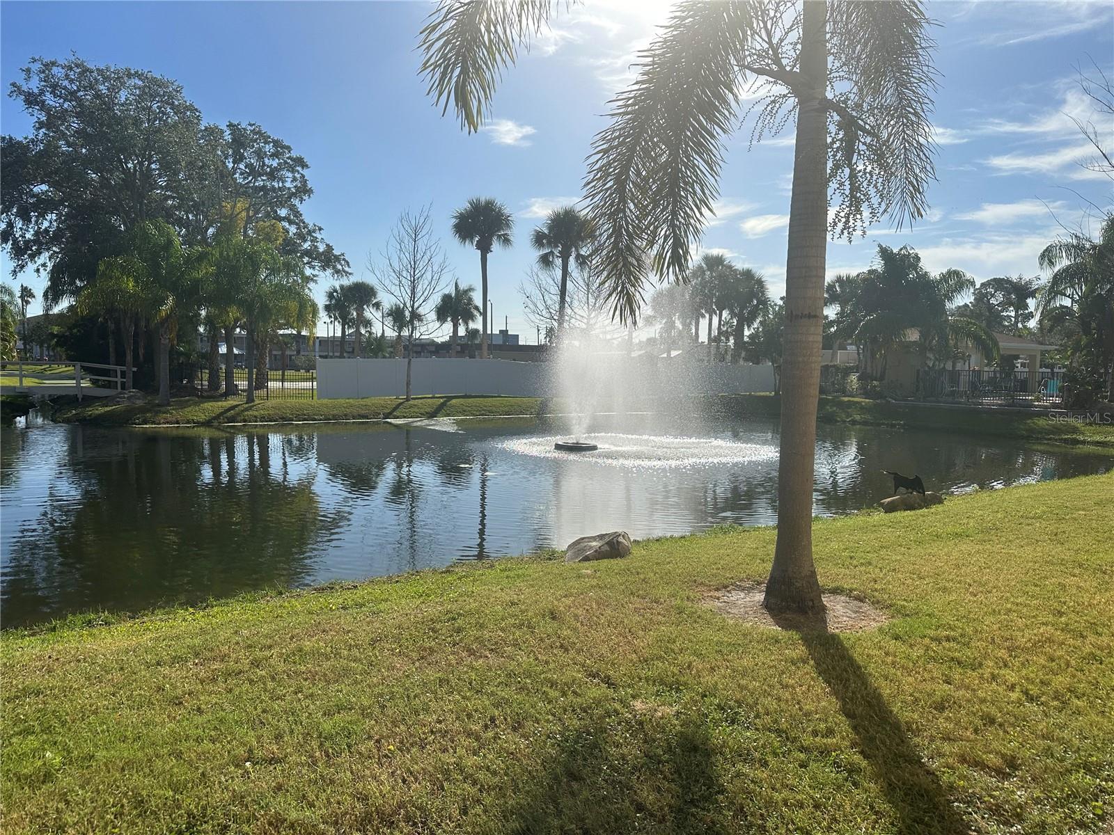 Pond with Fountian