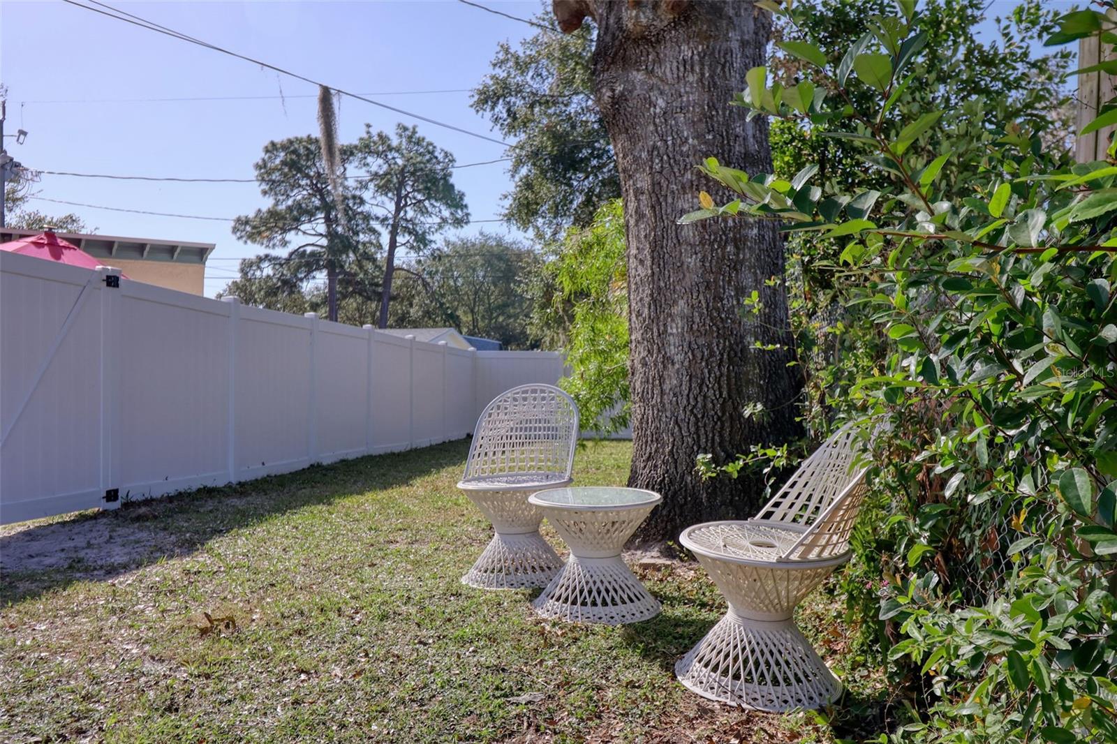 Main house - yard