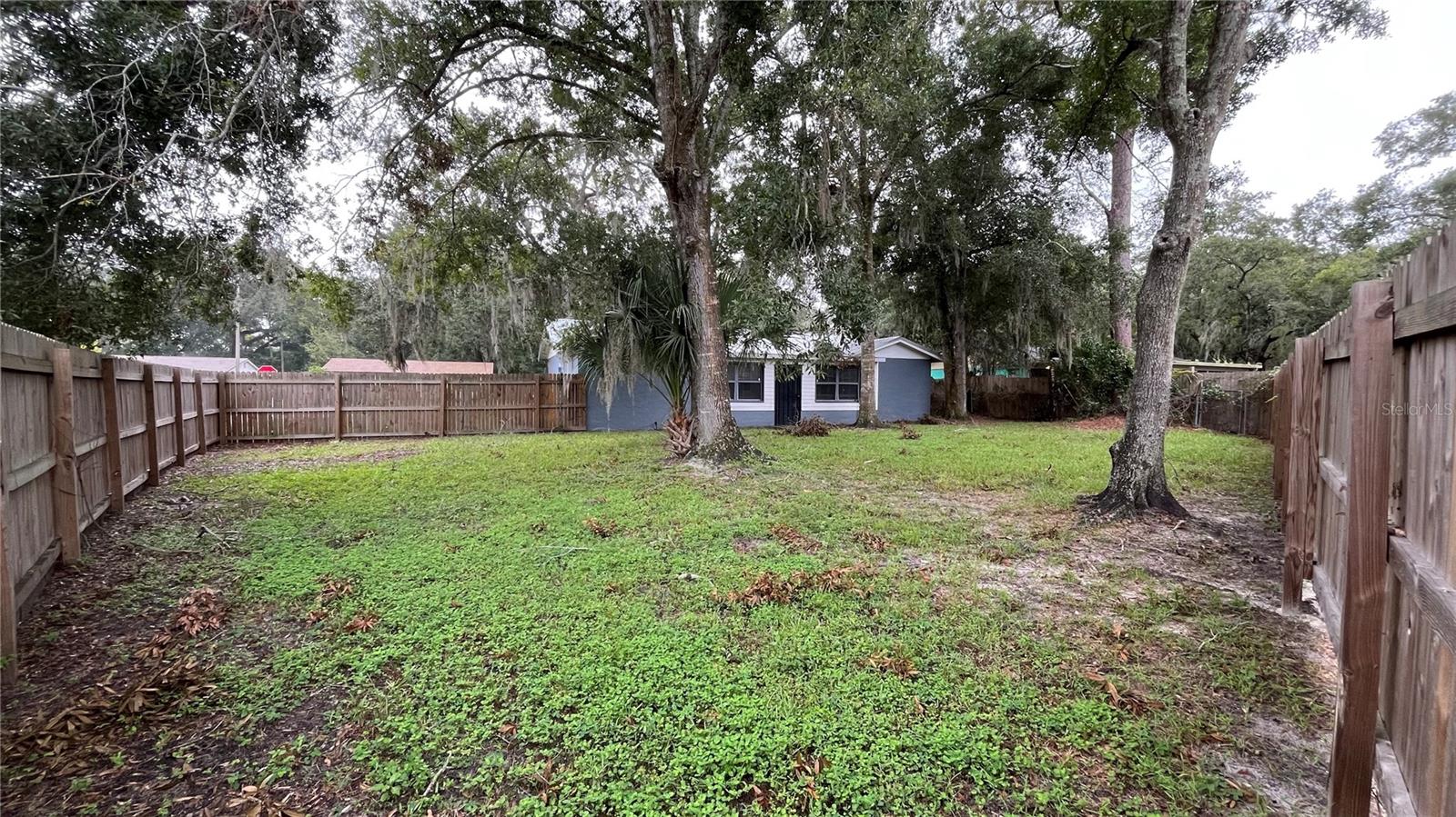 Spacious Backyard