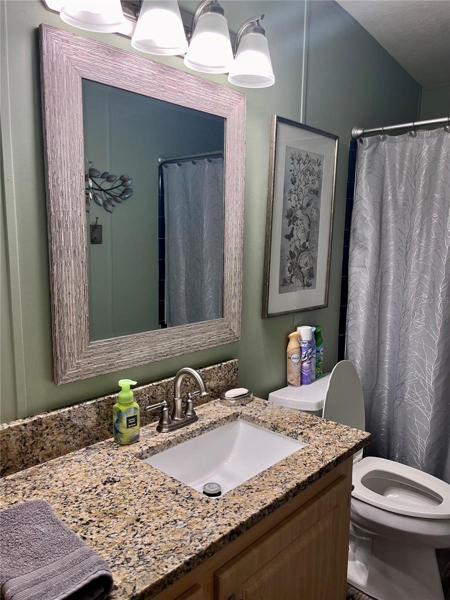 Guest bathroom