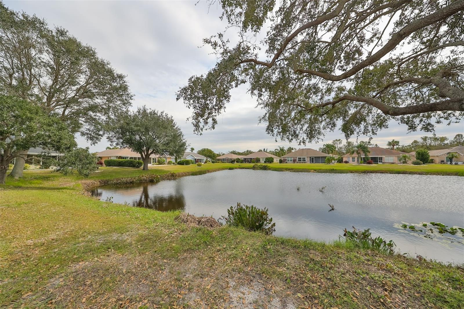 A healthy pond with cattails, lily pads and wildlife with lots of room between the neighbors.