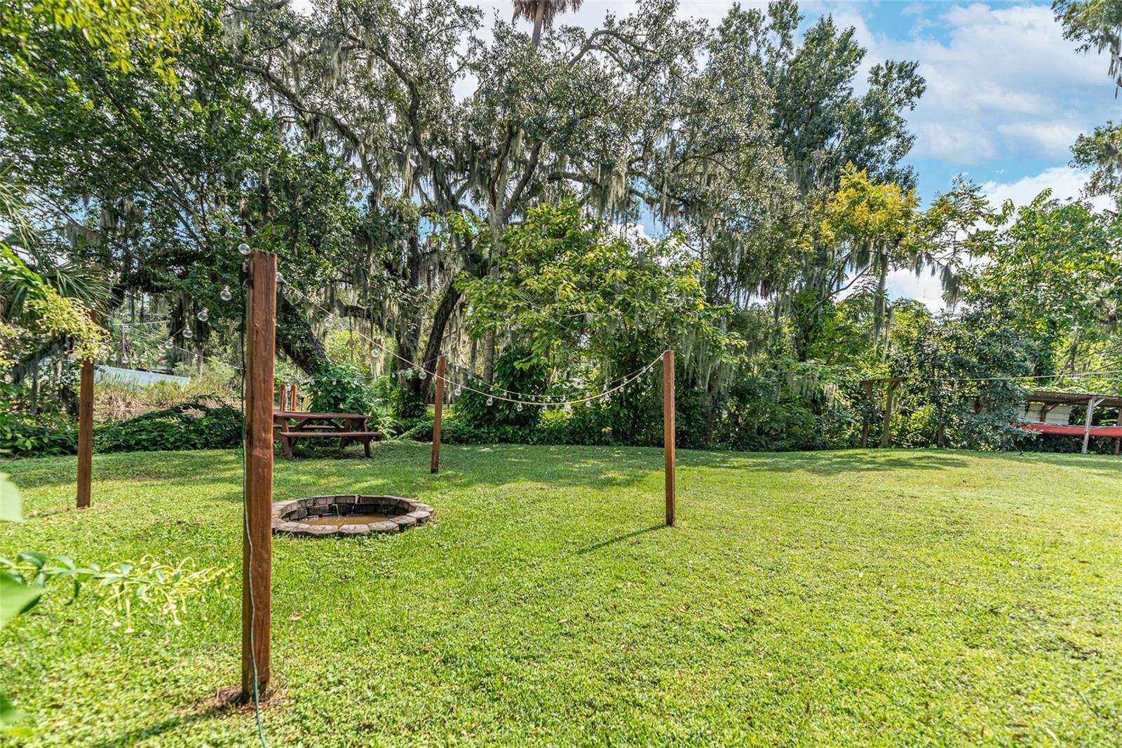 Firepit and backyard