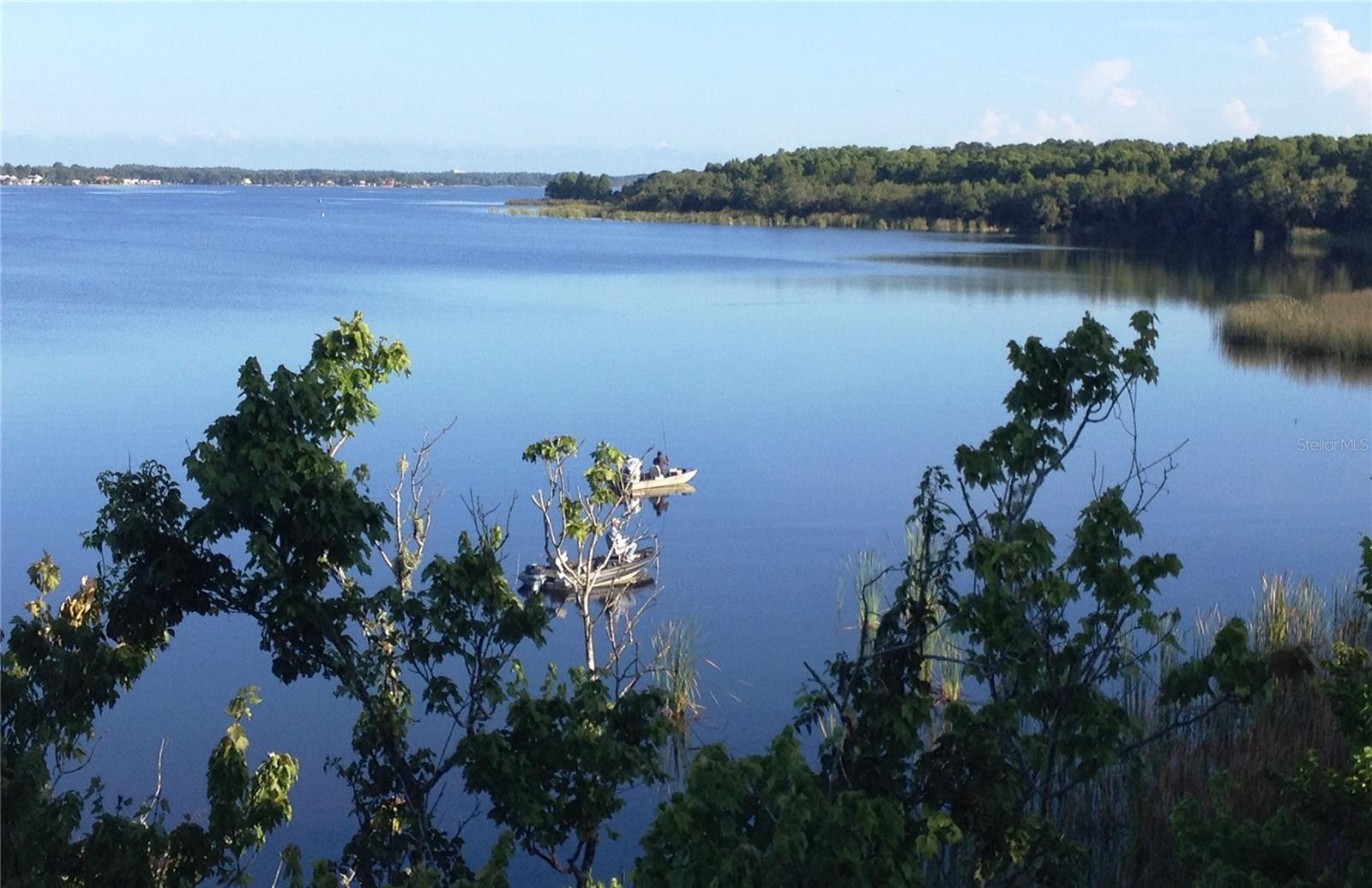 Spring-fed Lake Tarpon