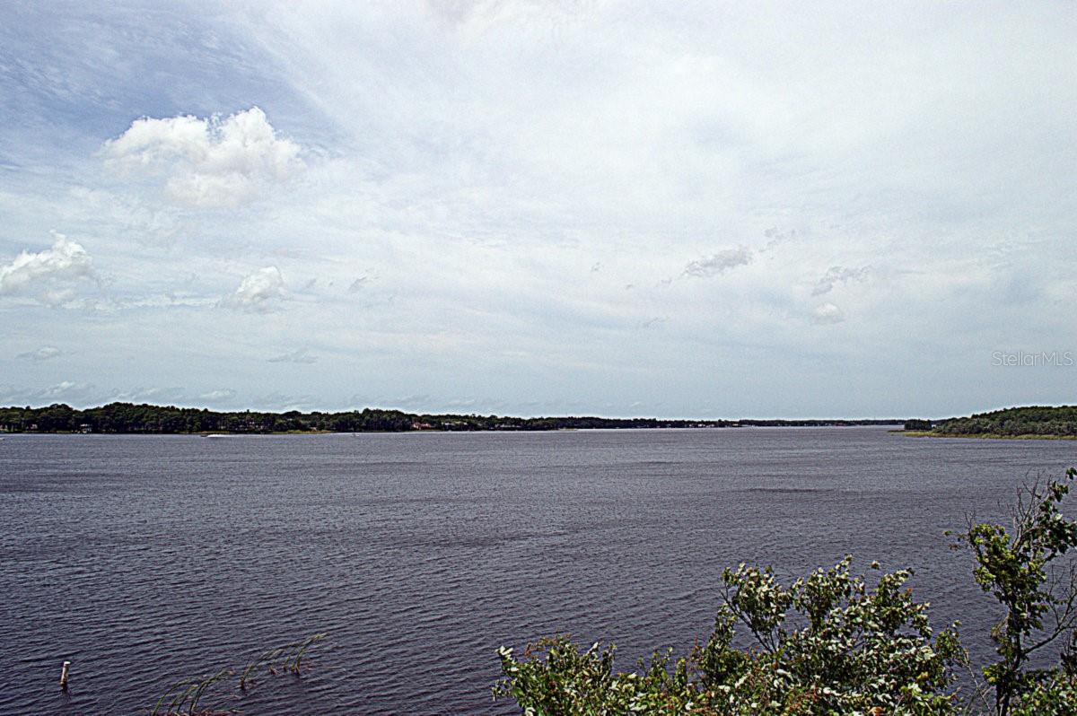 Spring-fed Lake Tarpon