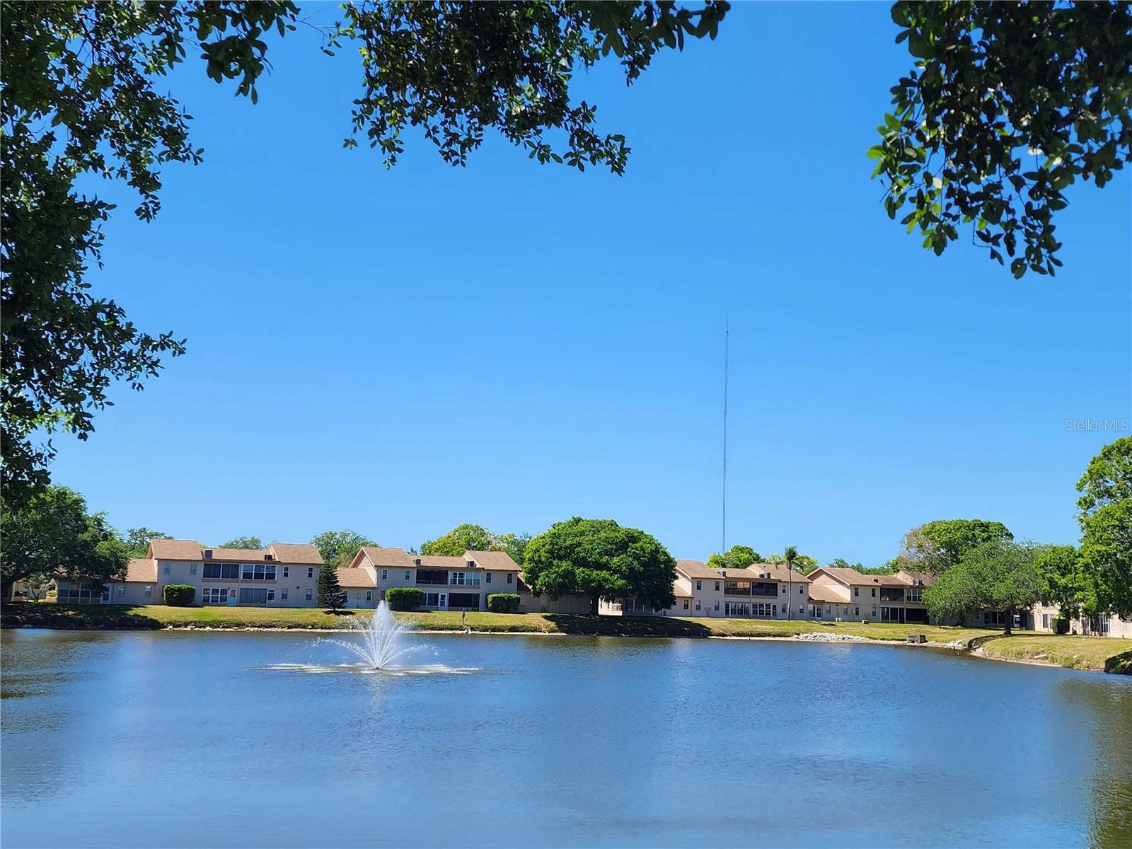 Lake pond in the center of the subdivision