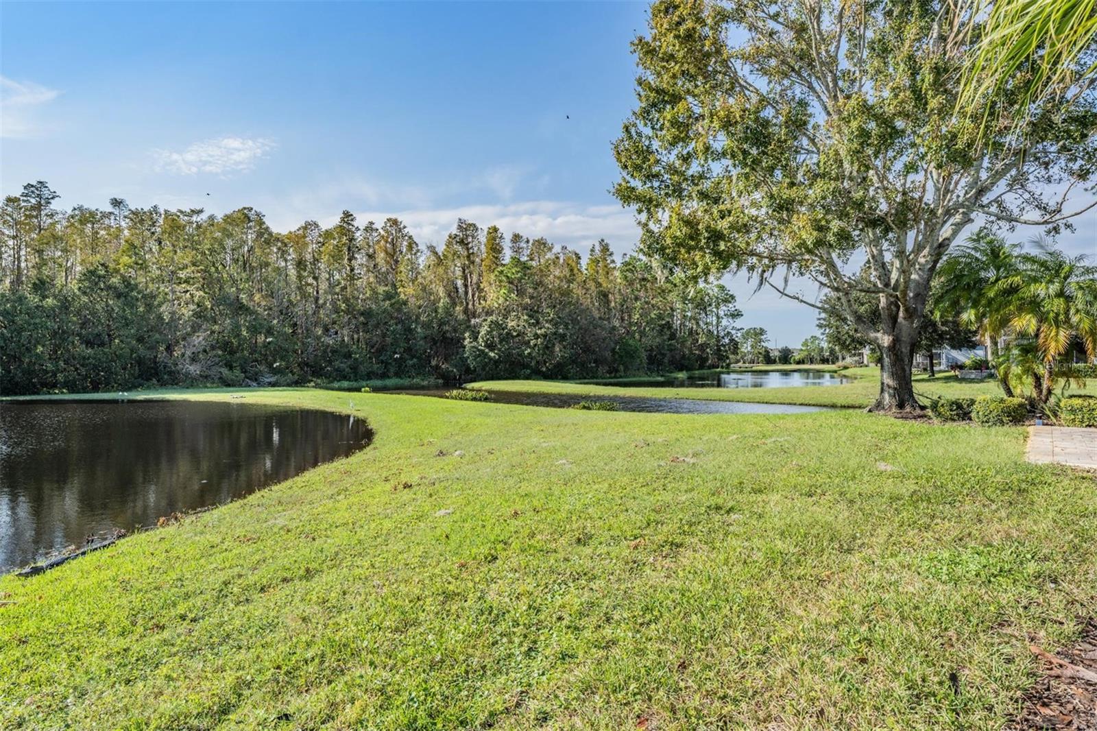 Multiple pond views