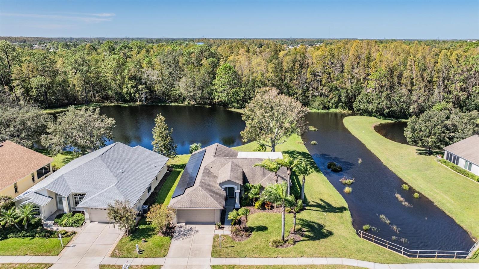 Sidewalks and pond-life highlight the neighborhood