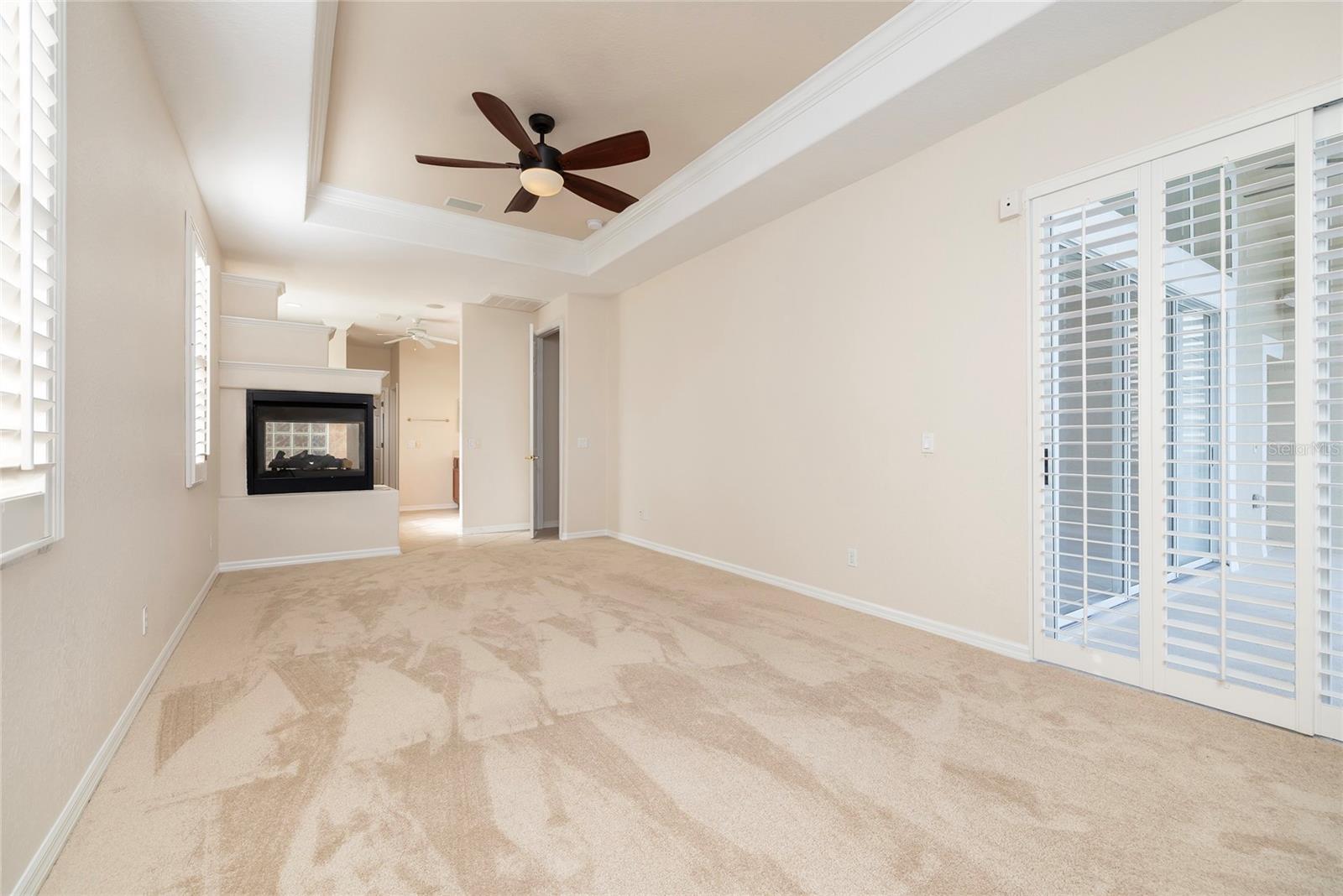 Fireplace in Primary Bedroom