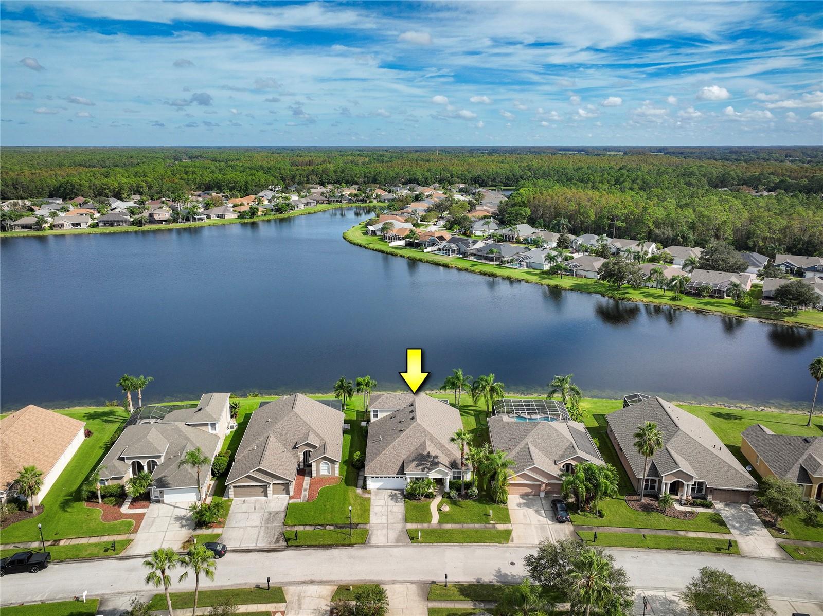 Ariel view of pond