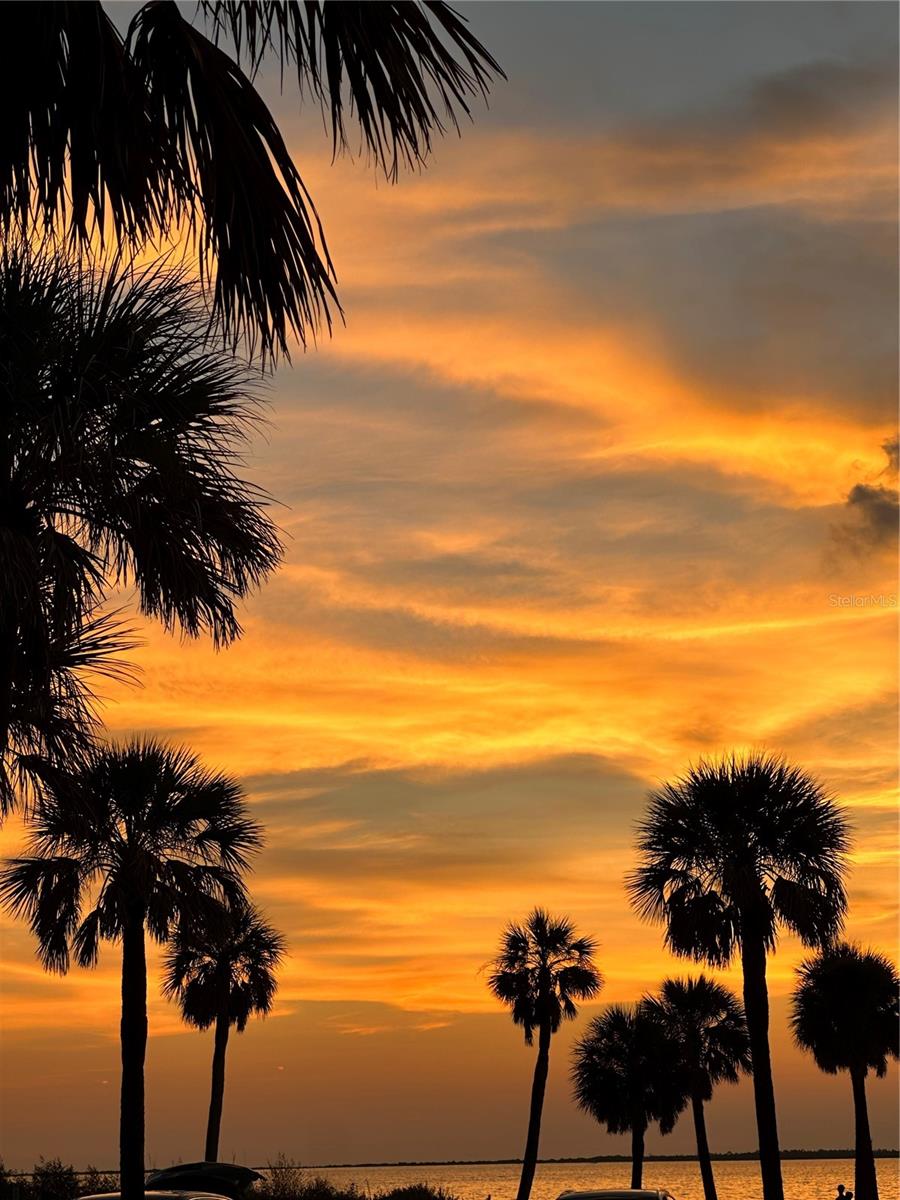 Beach Sunset