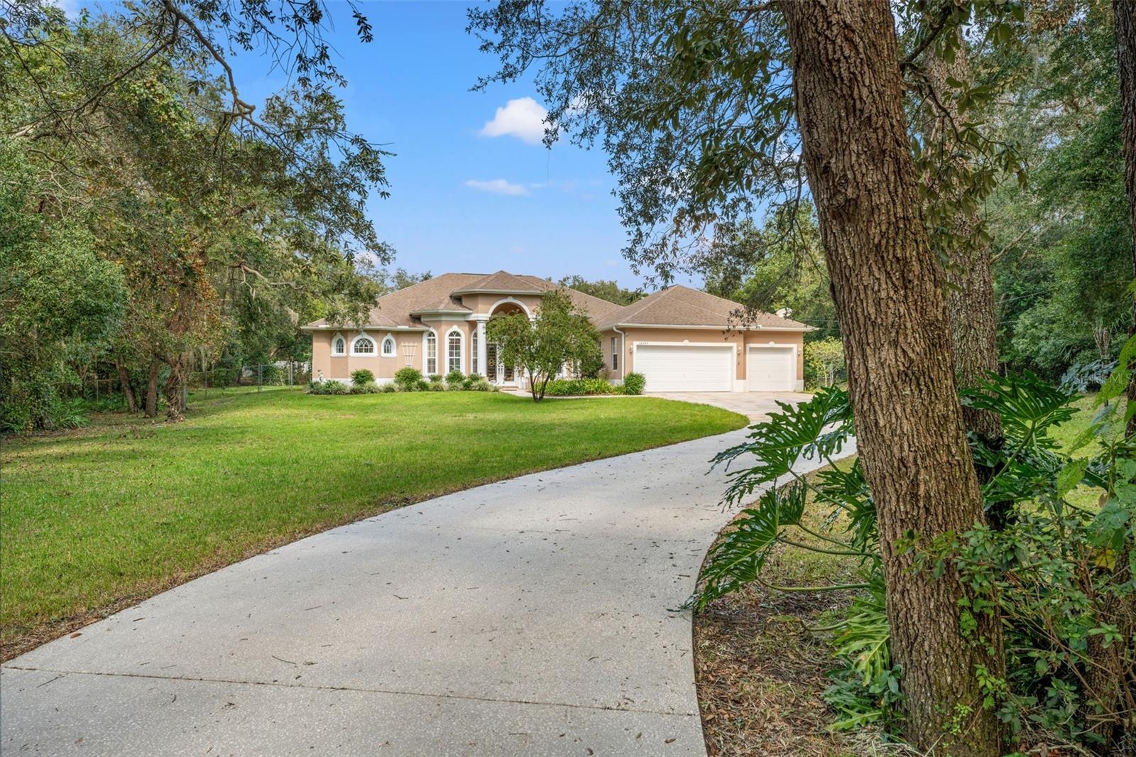 long driveway for privacy