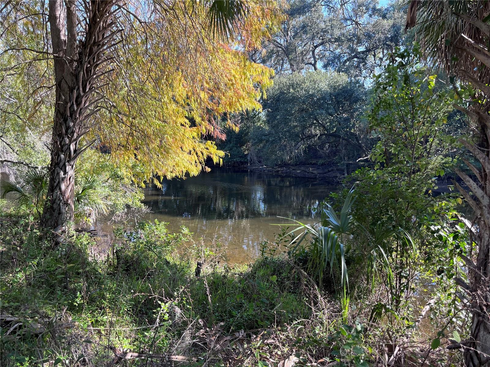 Nature area at Rowlett Park